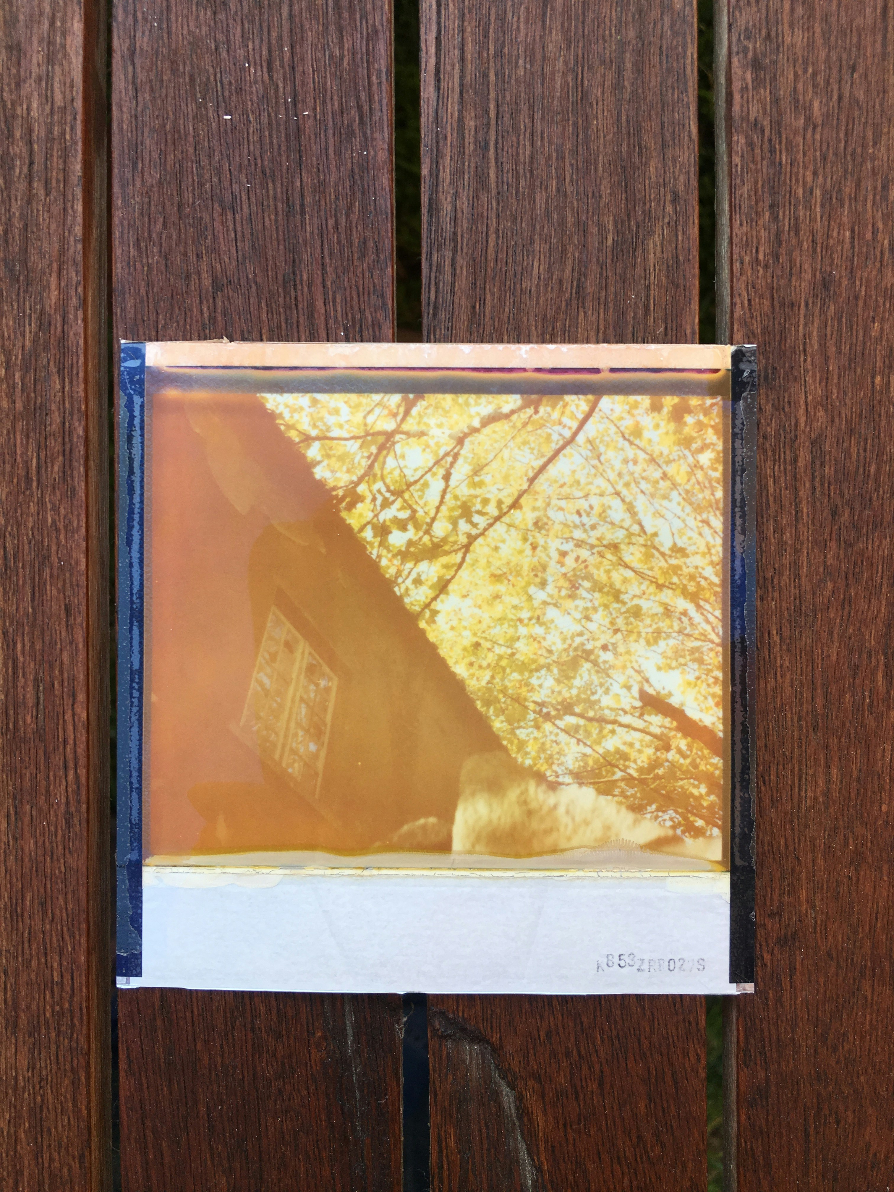 Restauración Fotográfica