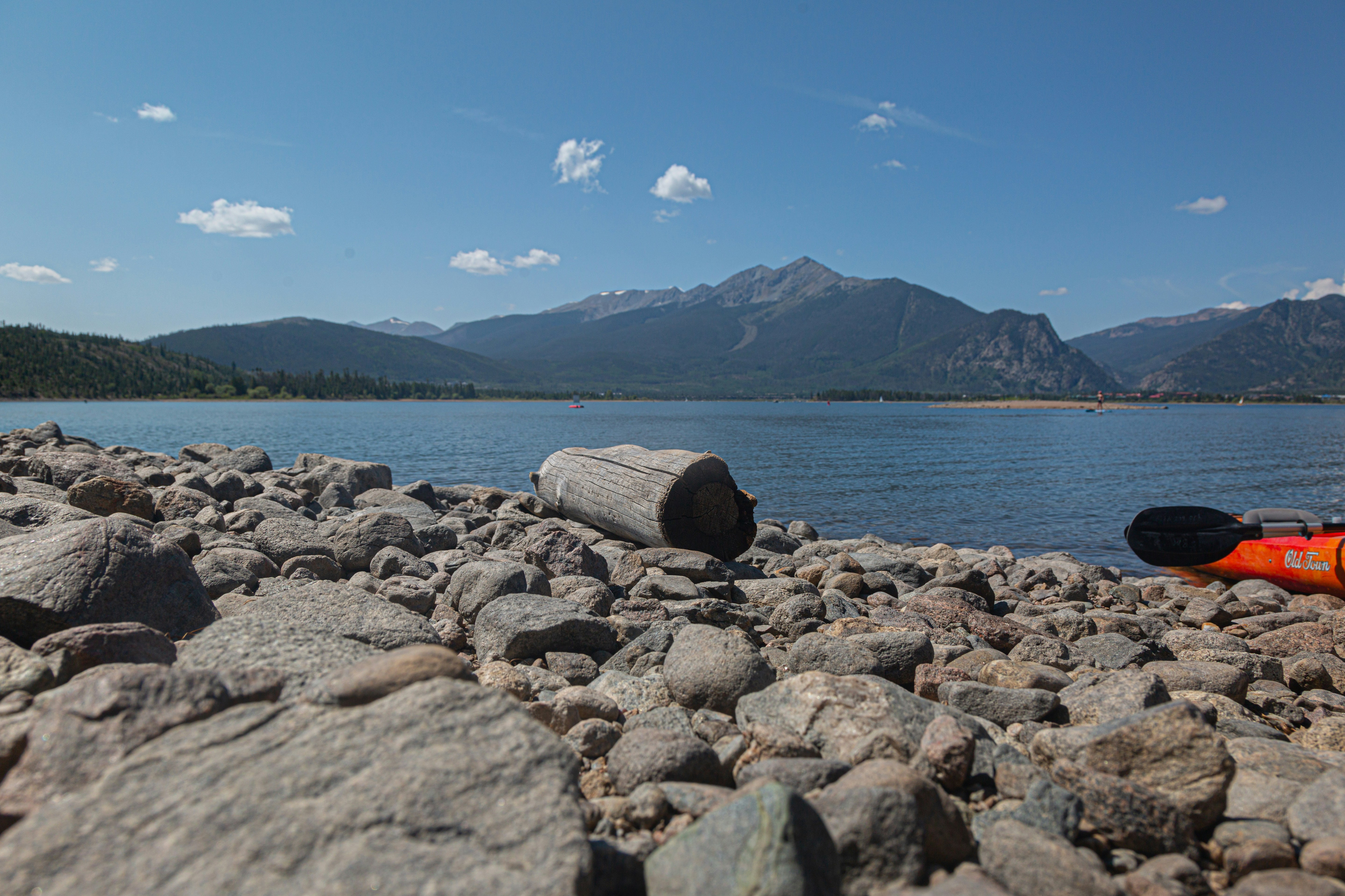 brauner Holzstamm am grauen felsigen Ufer tagsüber