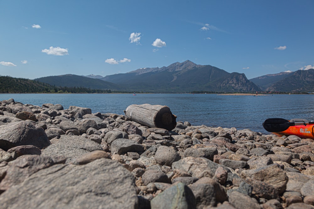 brown wooden log on gray rocky shore during daytime