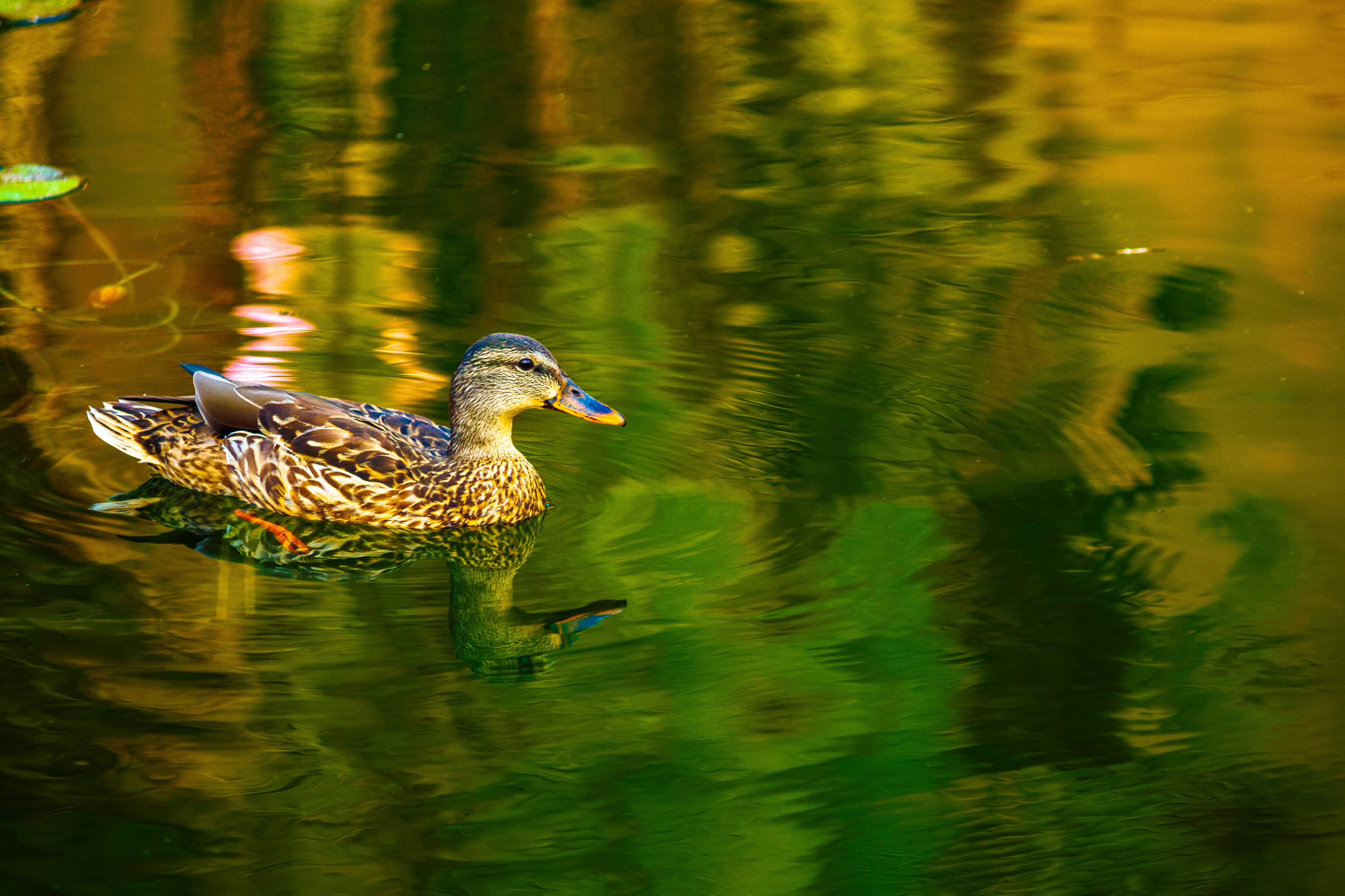 Photo by remarketable