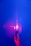 A hand holds a transparent object, illuminated by a vibrant pink and purple light against a deep blue background. The word 'PRISM' is projected repetitively on the hand and object, creating a dynamic play of light and shadow.