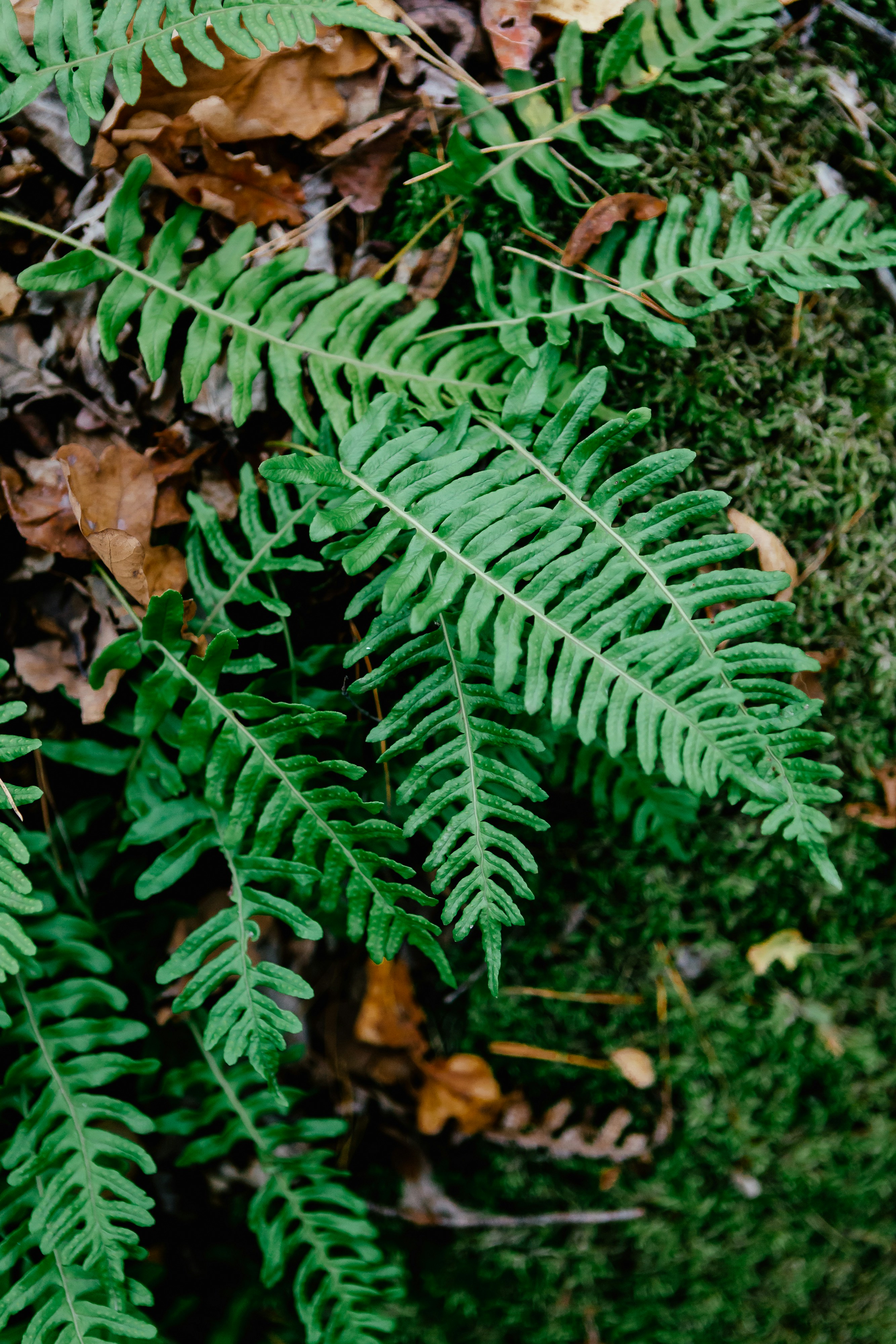 Photo by olga_kononenko