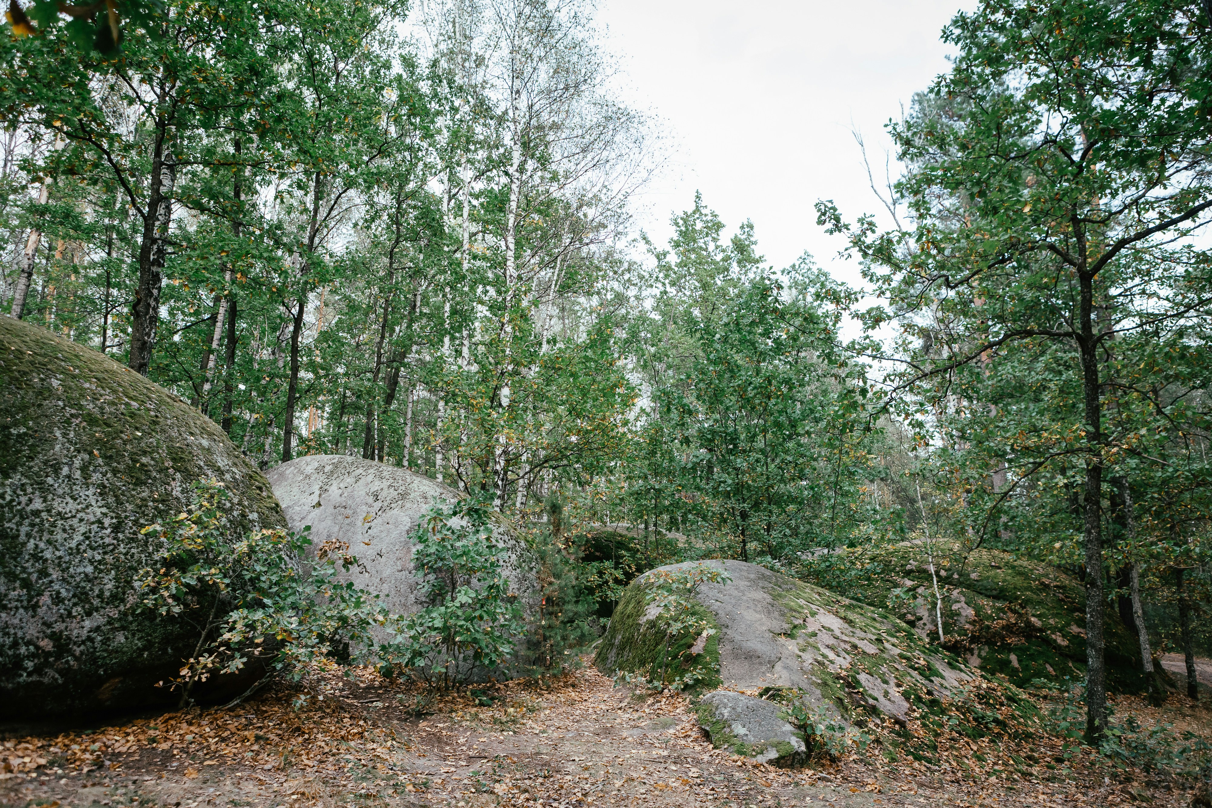 Photo by olga_kononenko