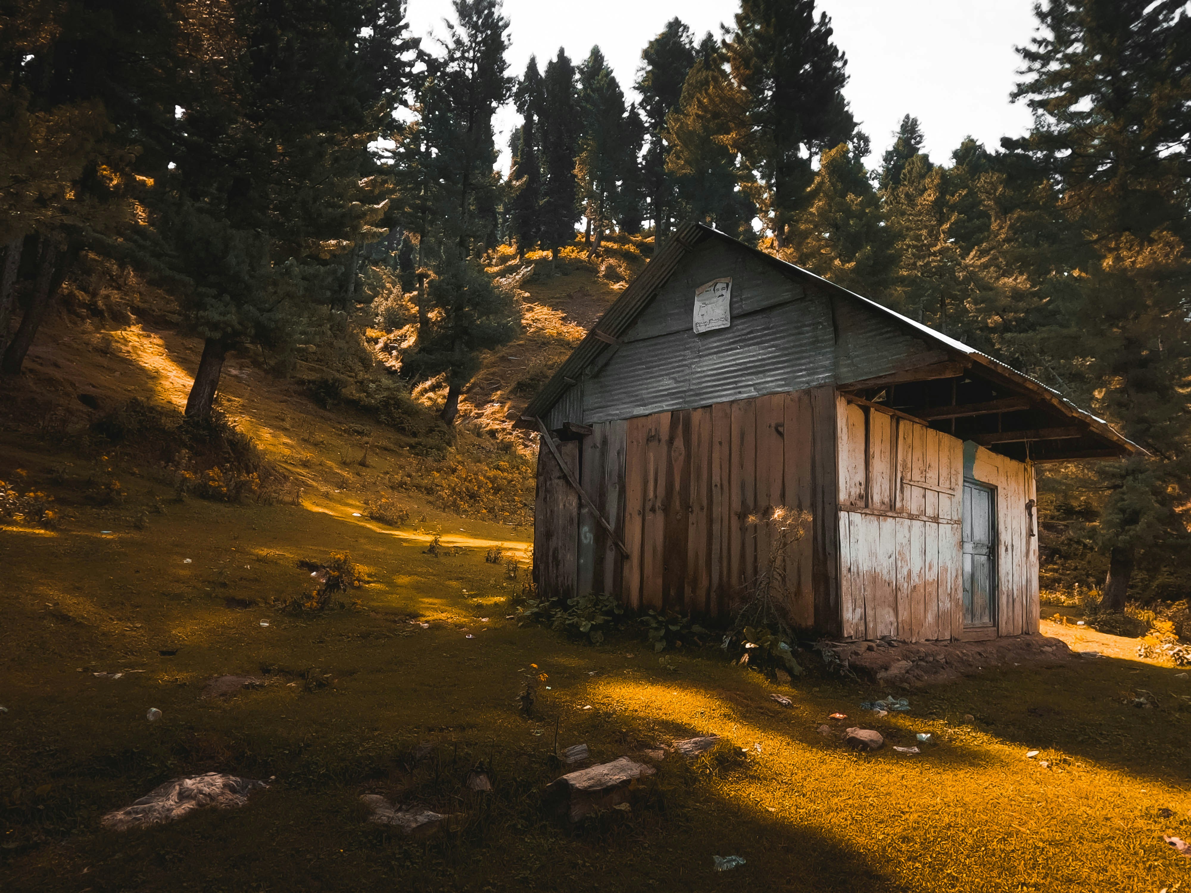 Foto de casa de madera marrón en el bosque – Imagen gratuita Pakistán