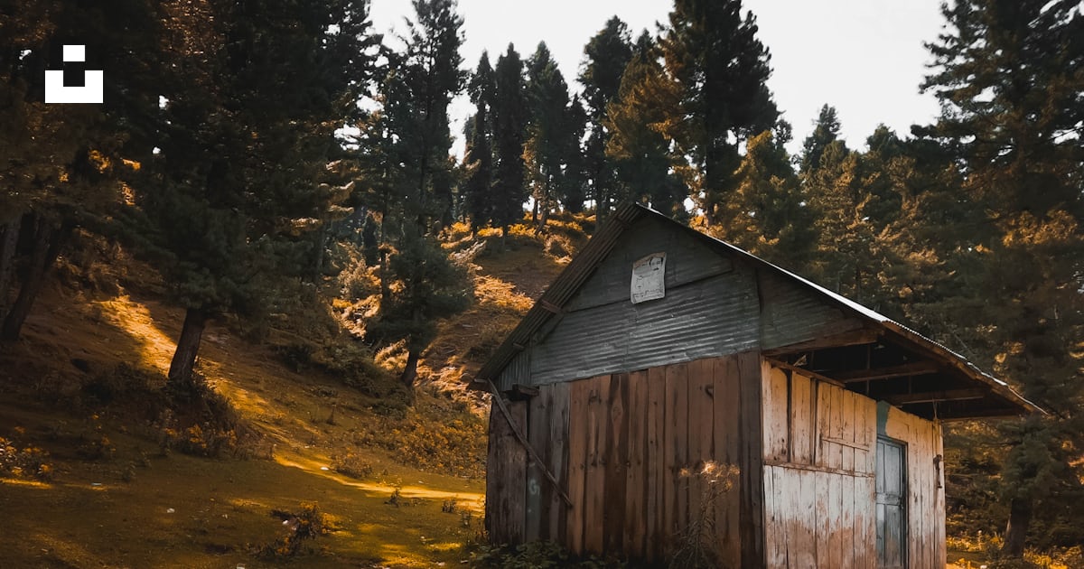 Foto de casa de madera marrón en el bosque – Imagen gratuita Pakistán