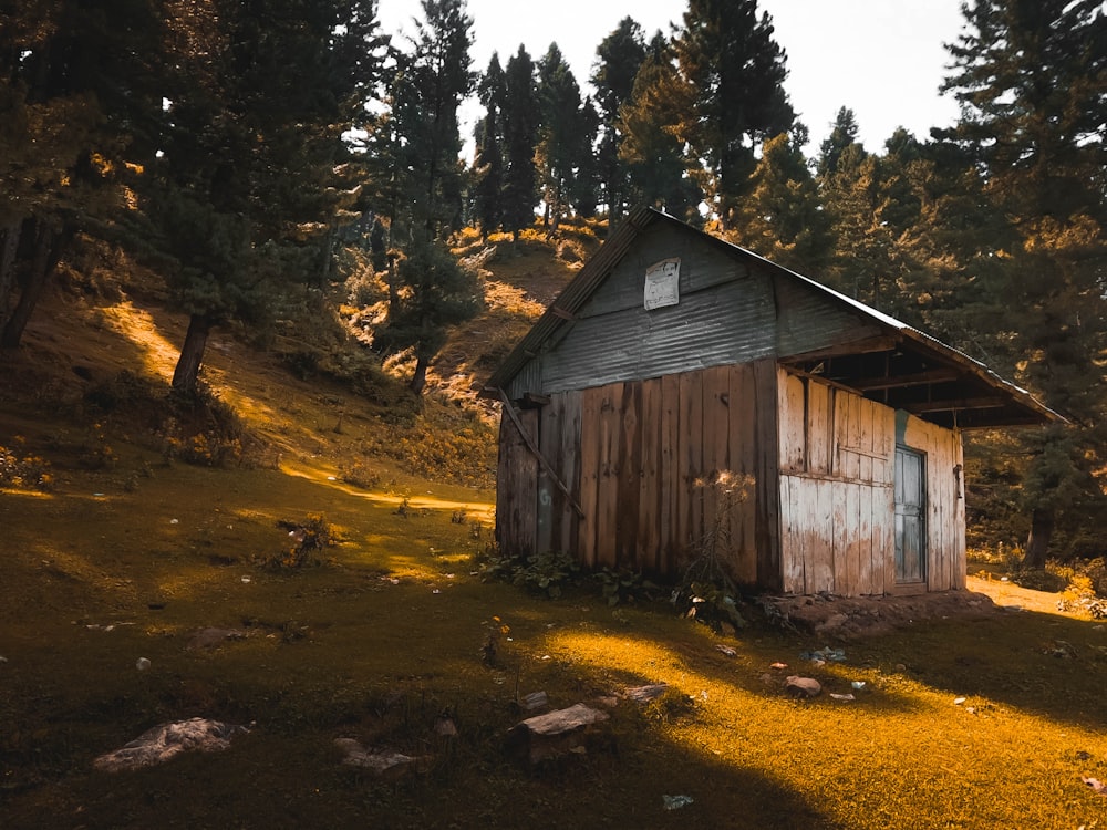 brown wooden house in the woods