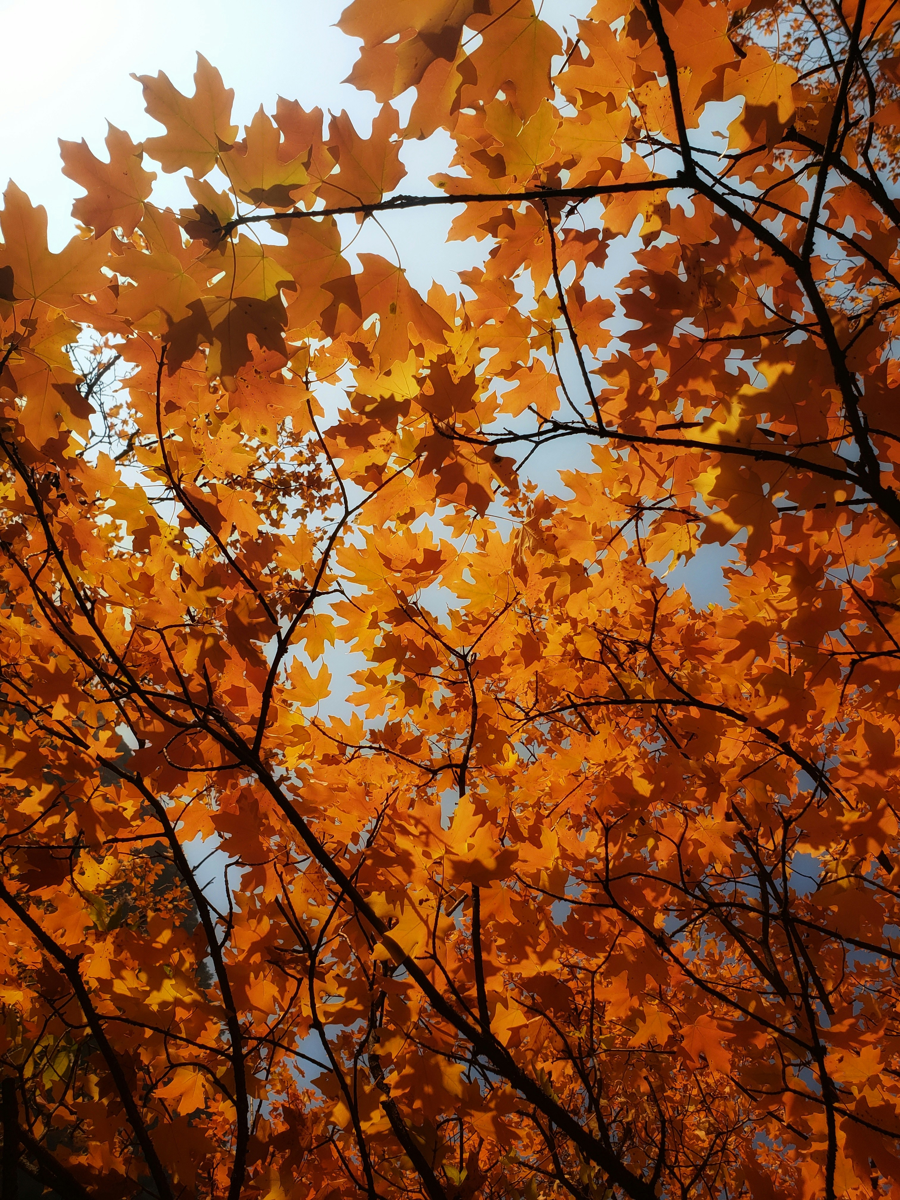 Photo by joshua_hoehne