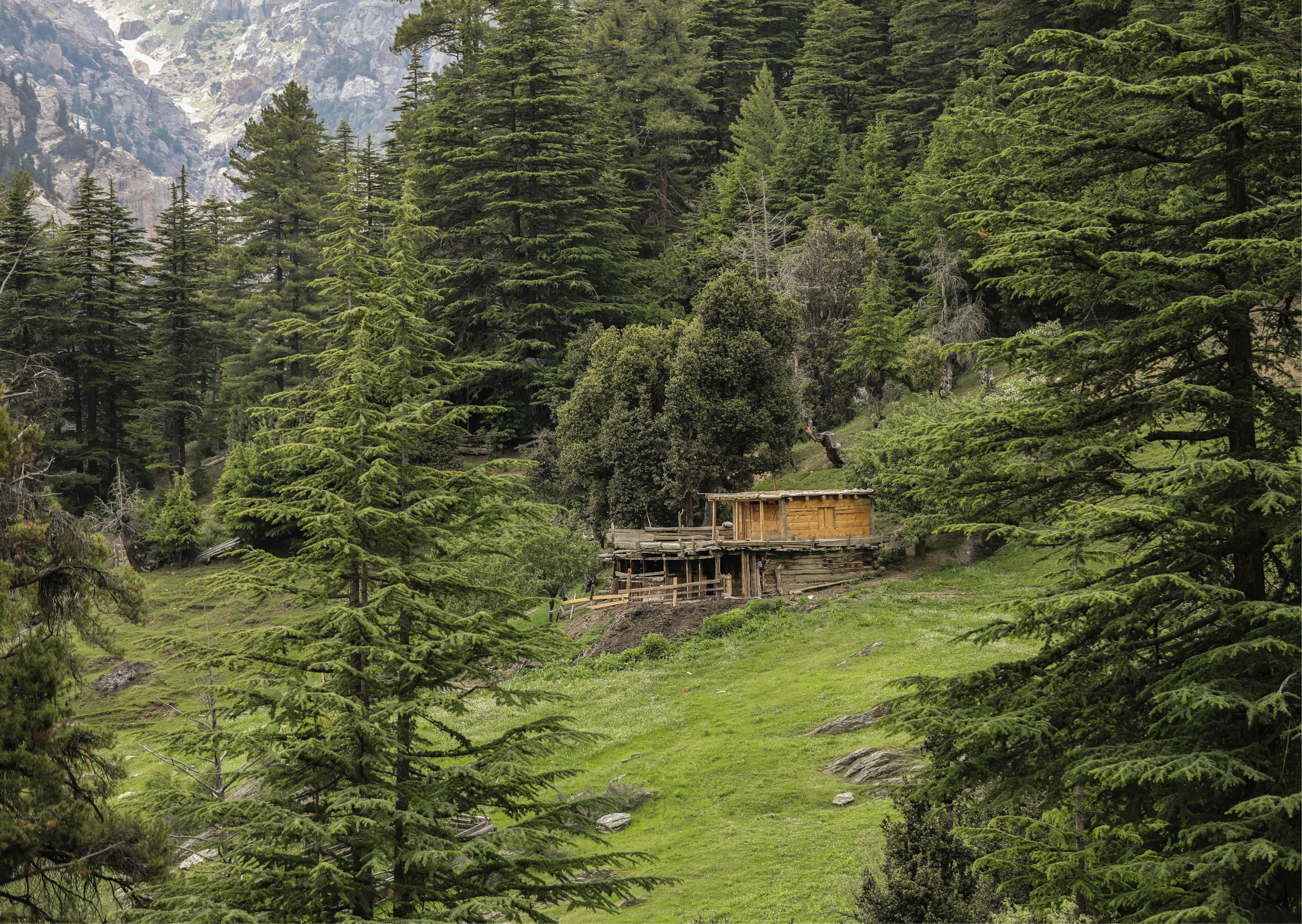 brown wooden house on green grass field near green trees during daytime afghanistan teams background