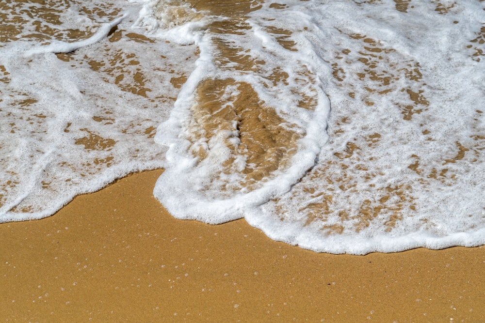 white and brown sea waves on brown sand