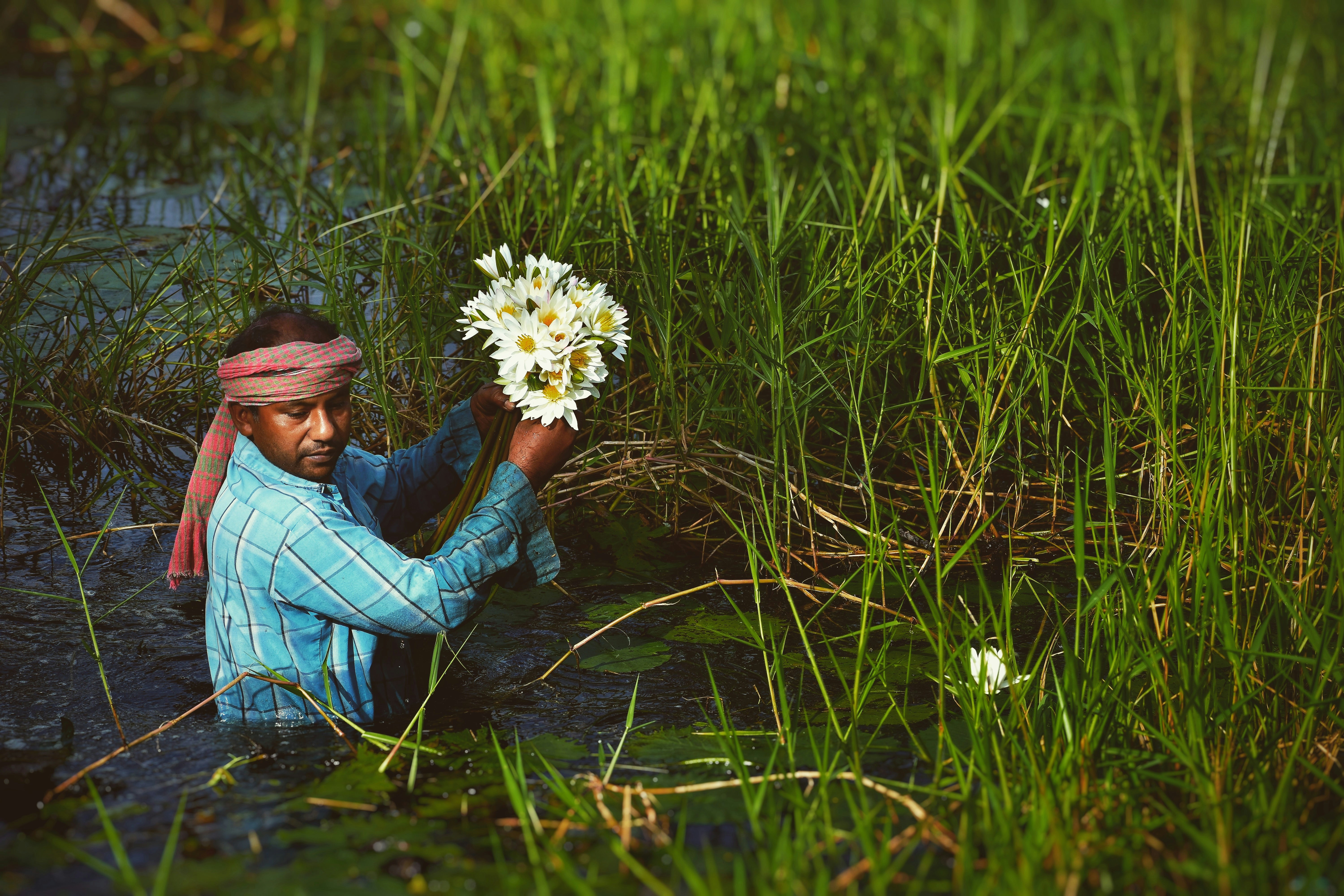 woman in blue denim jacket holding white daisy flower