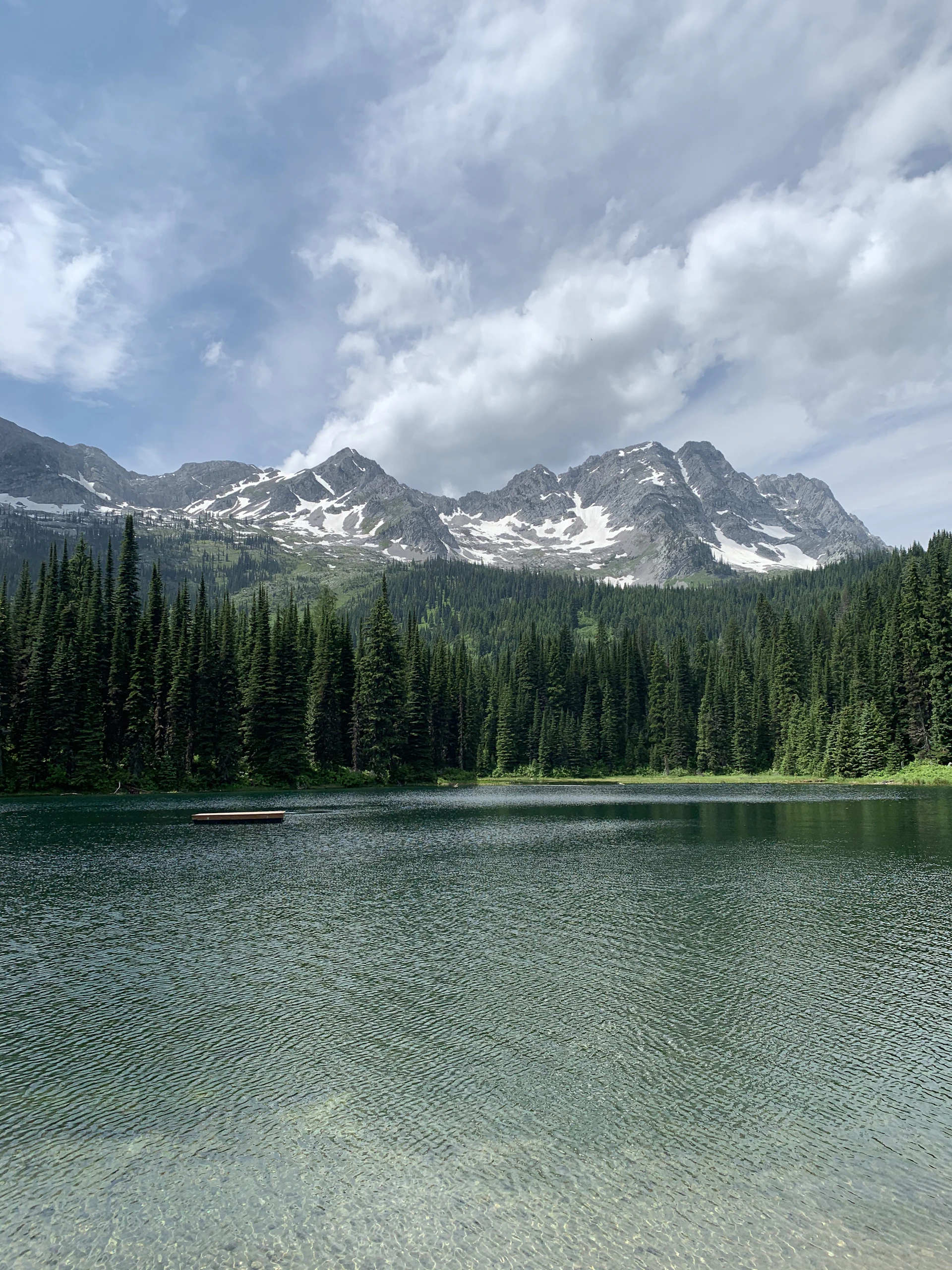 green pine trees near lake and snow covered mountain during daytime