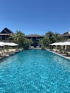 An inviting outdoor pool surrounded by palm trees and sun loungers.