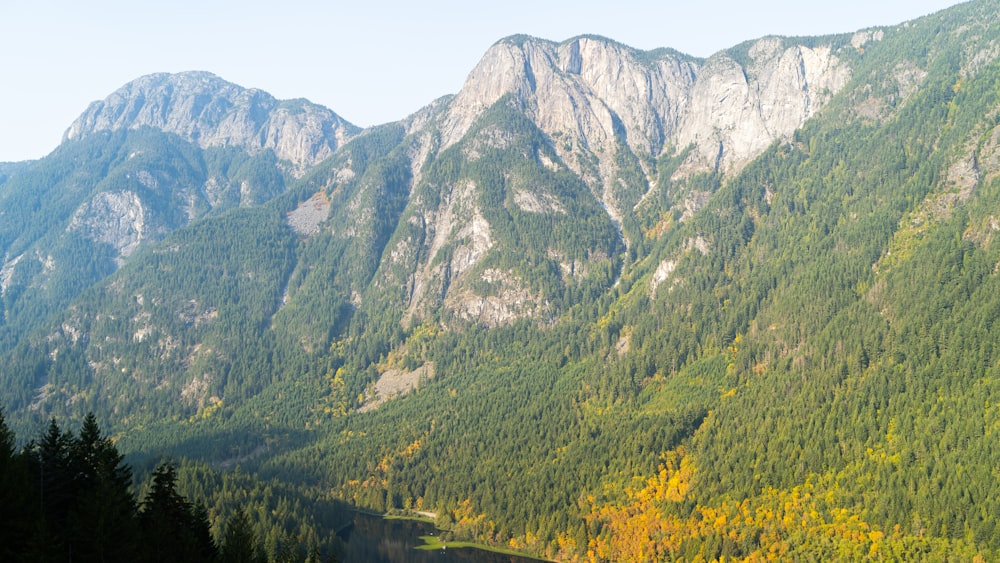 green trees and mountain during daytime