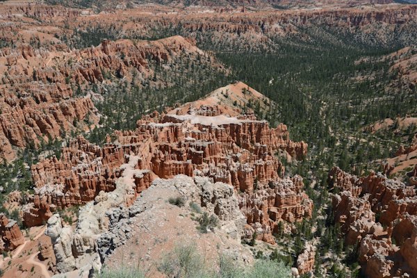 Brown rock formation near green trees during daytime — Bryce Canyon, United States