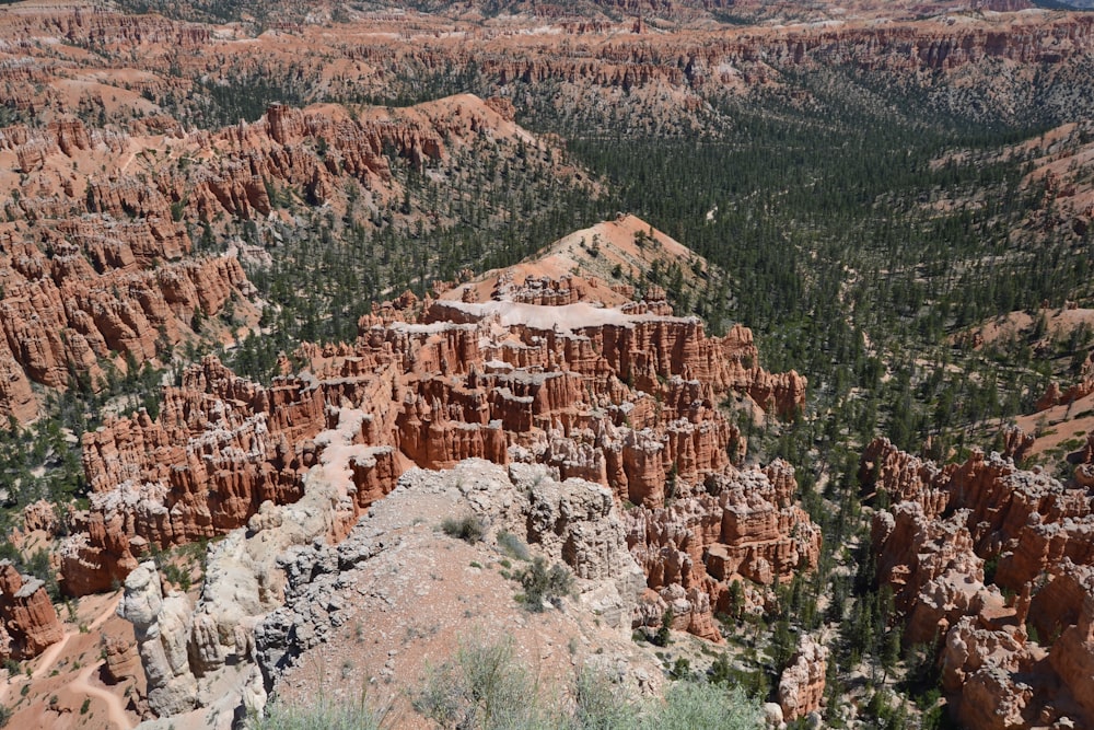 brown rock formation near green trees during daytime