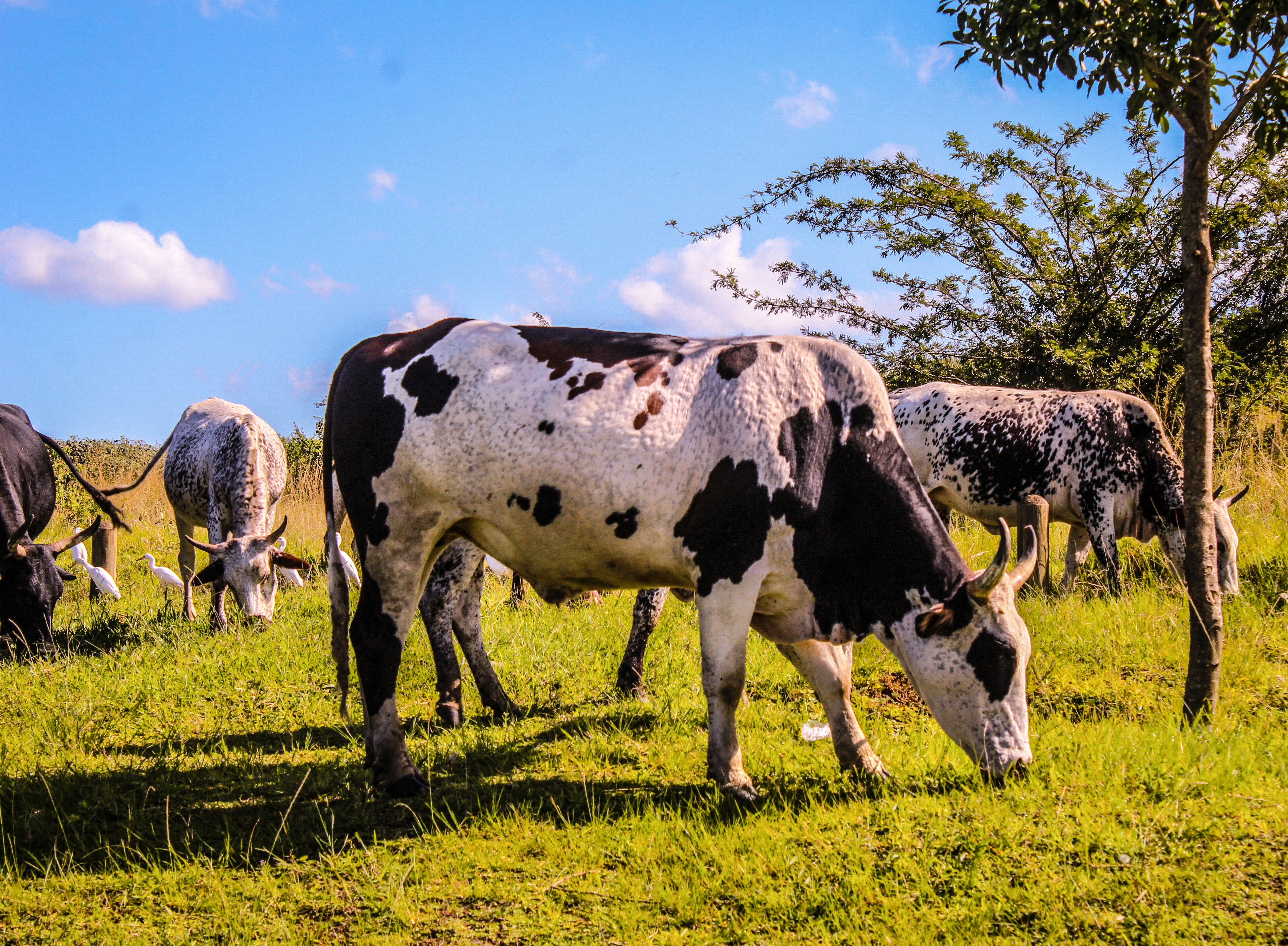 Photo by kuhle_changes