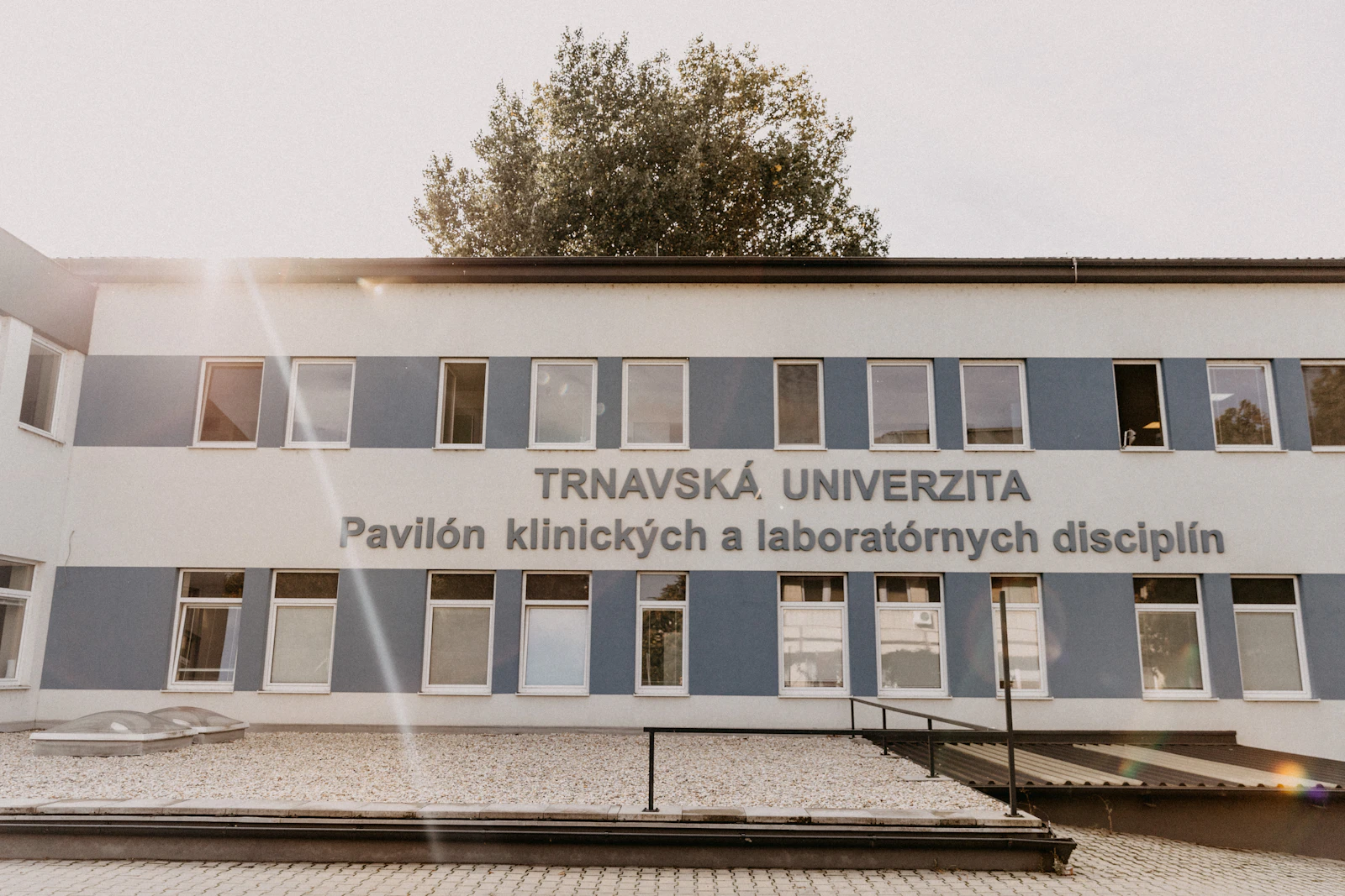 Institute building exterior on a bright day