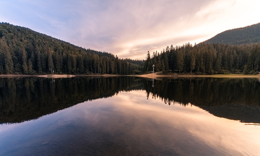 green trees beside lake under white clouds and blue sky during daytime