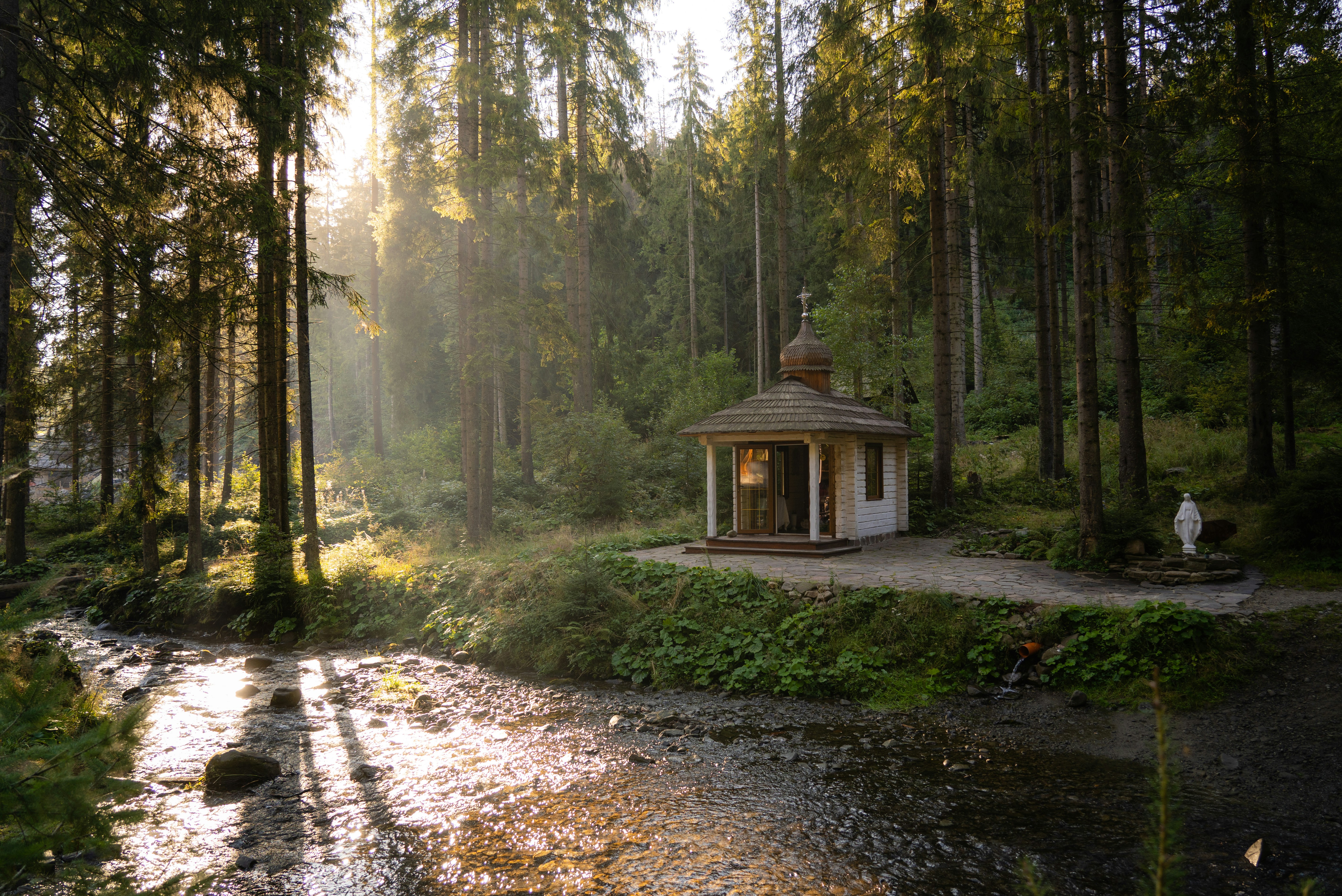 brown wooden house in the middle of the forest
