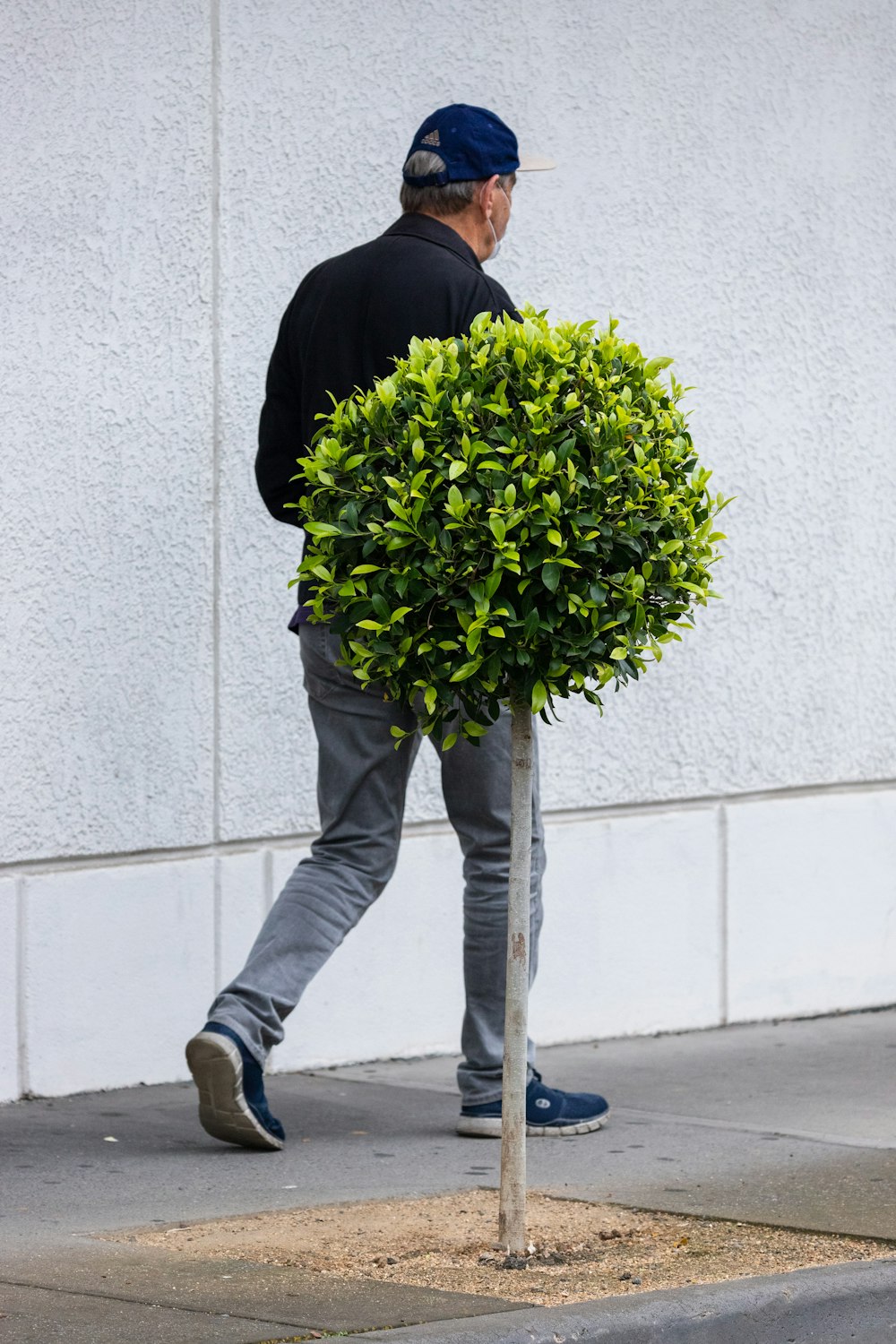 person in black jacket and gray pants holding purple flower bouquet