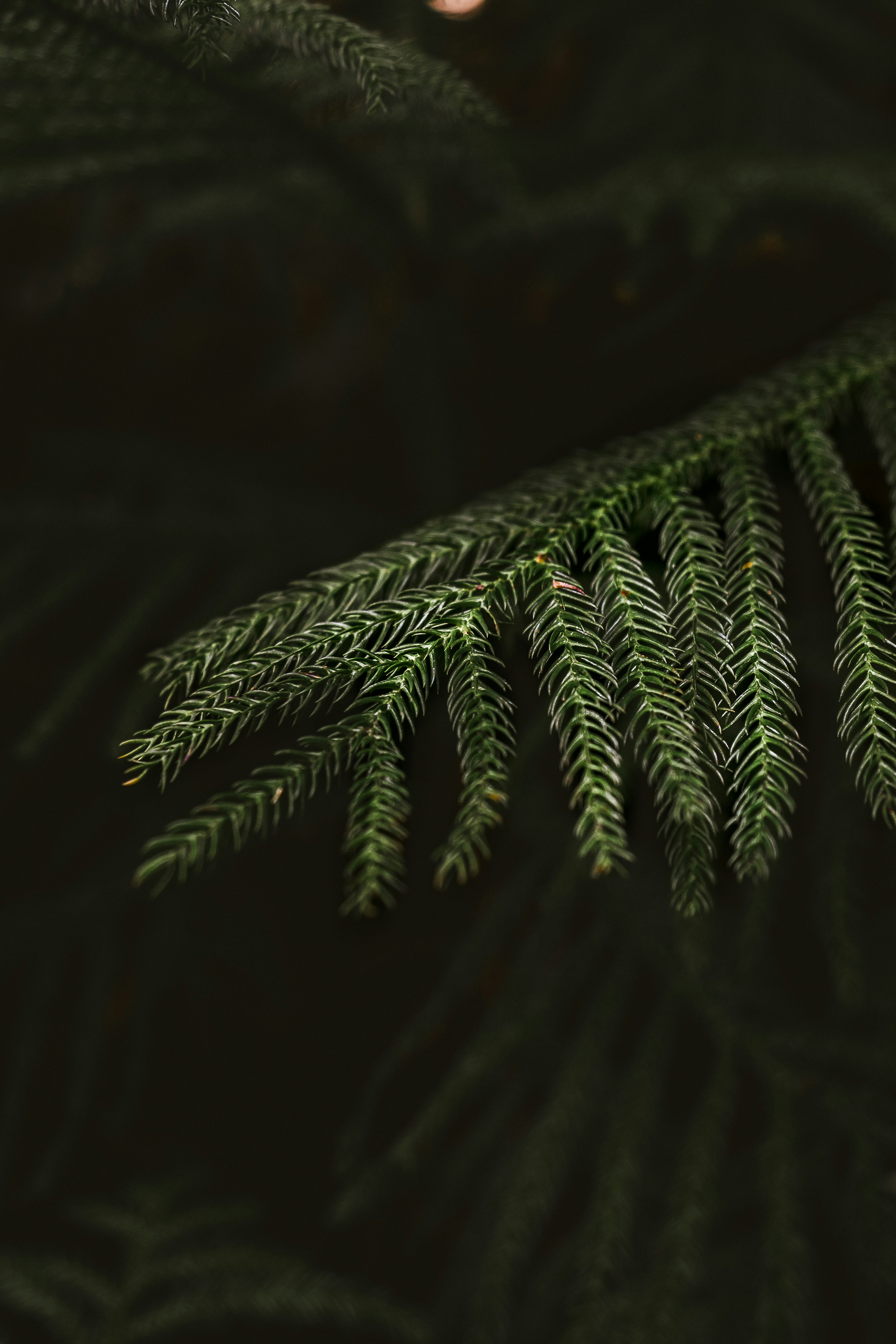 Photo by jess_adventures808