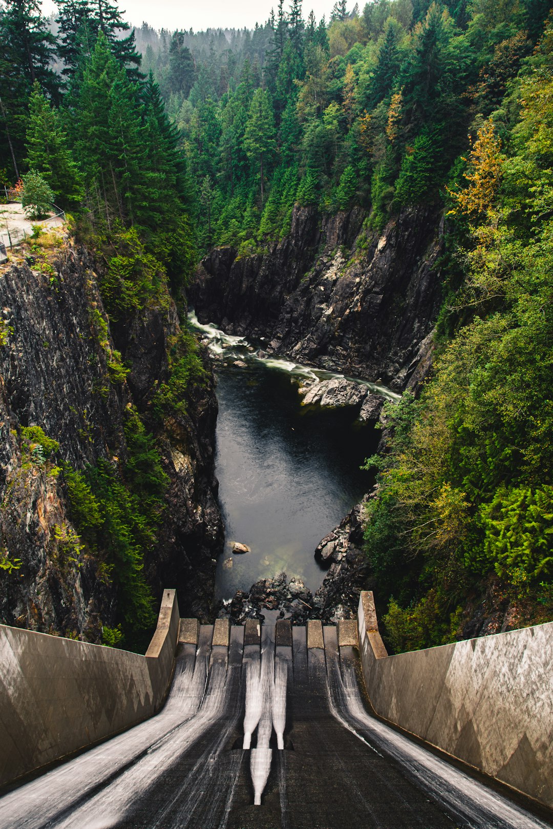 brown wooden bridge over river