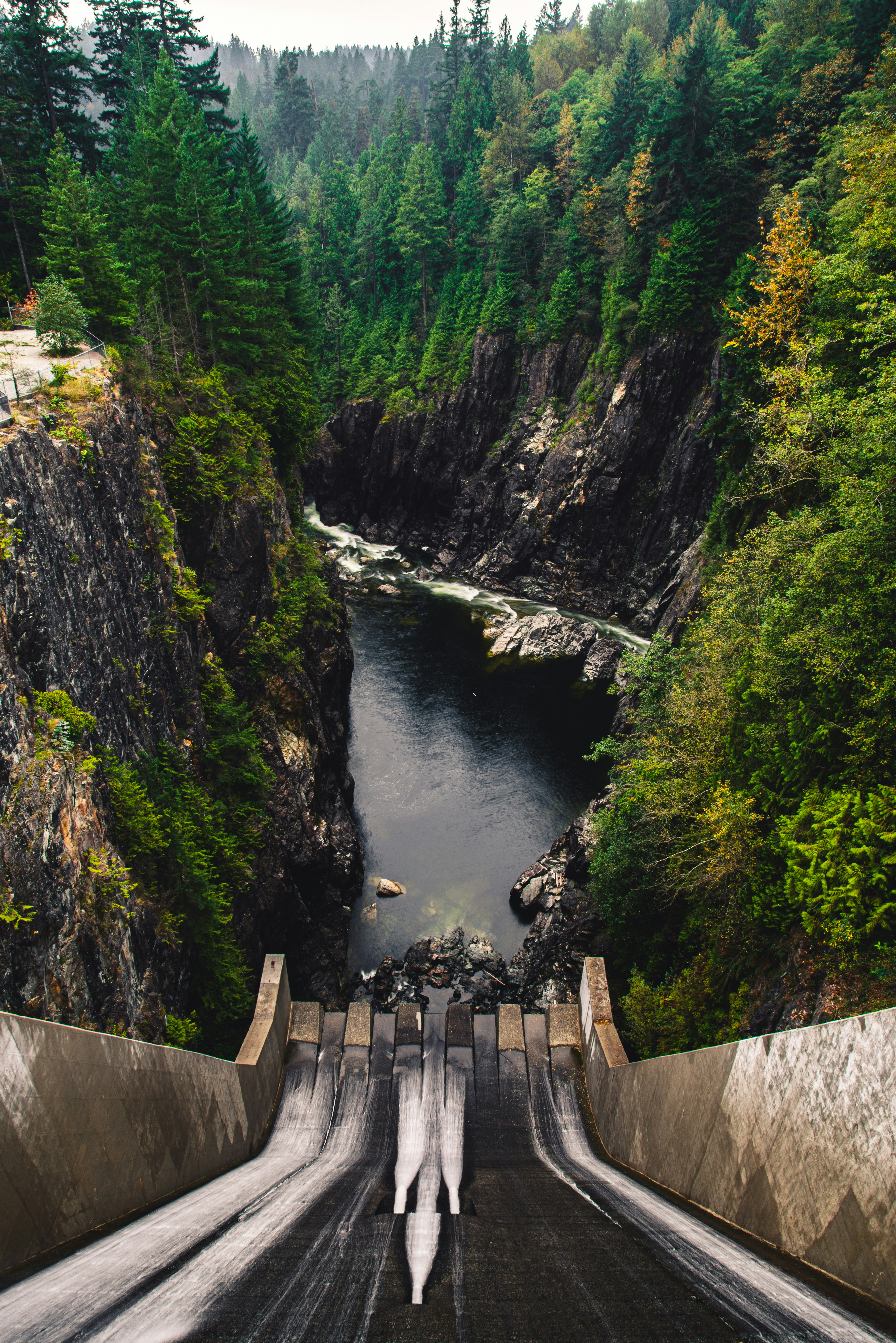 brown wooden bridge over river