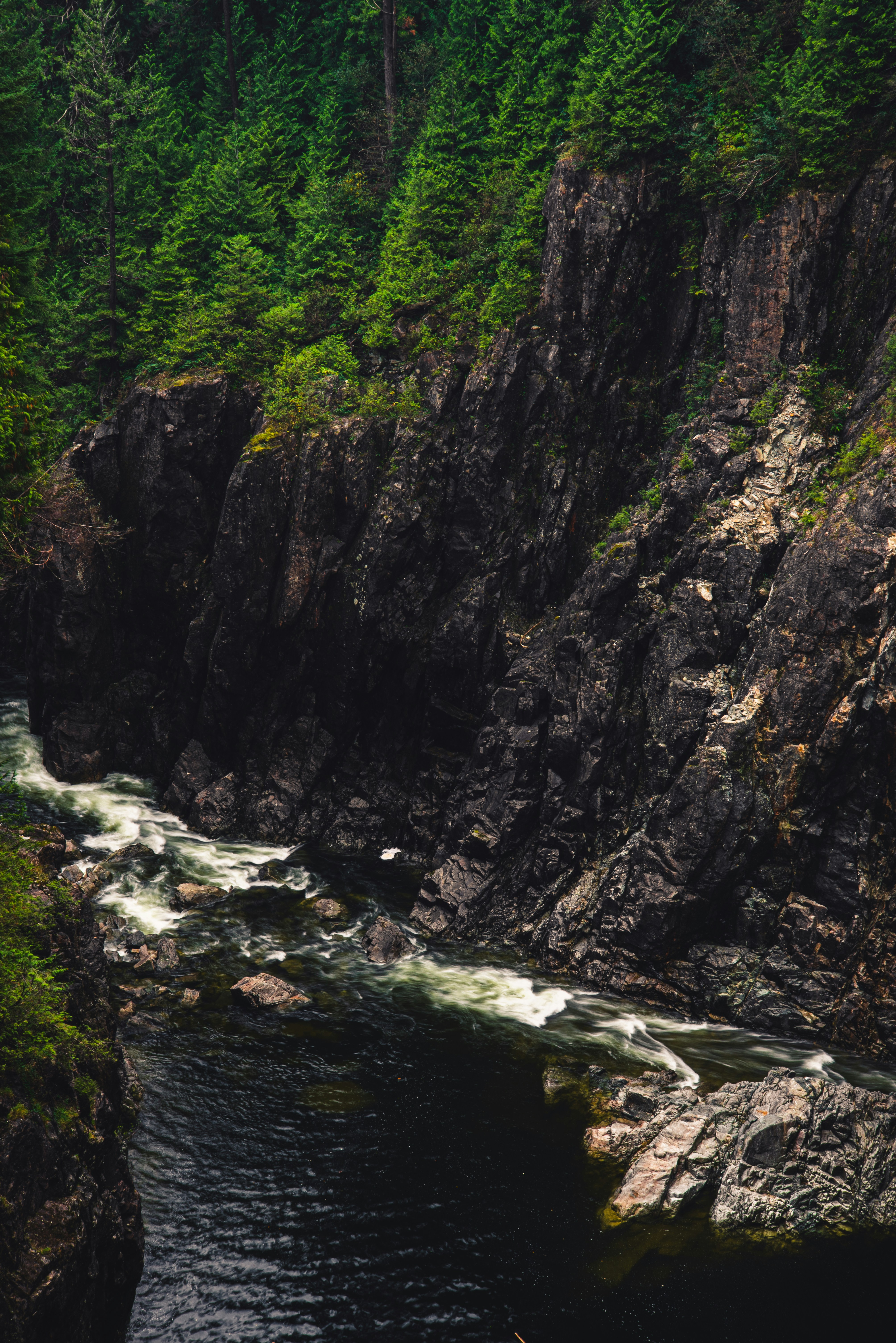 Photo by ryunosuke_kikuno