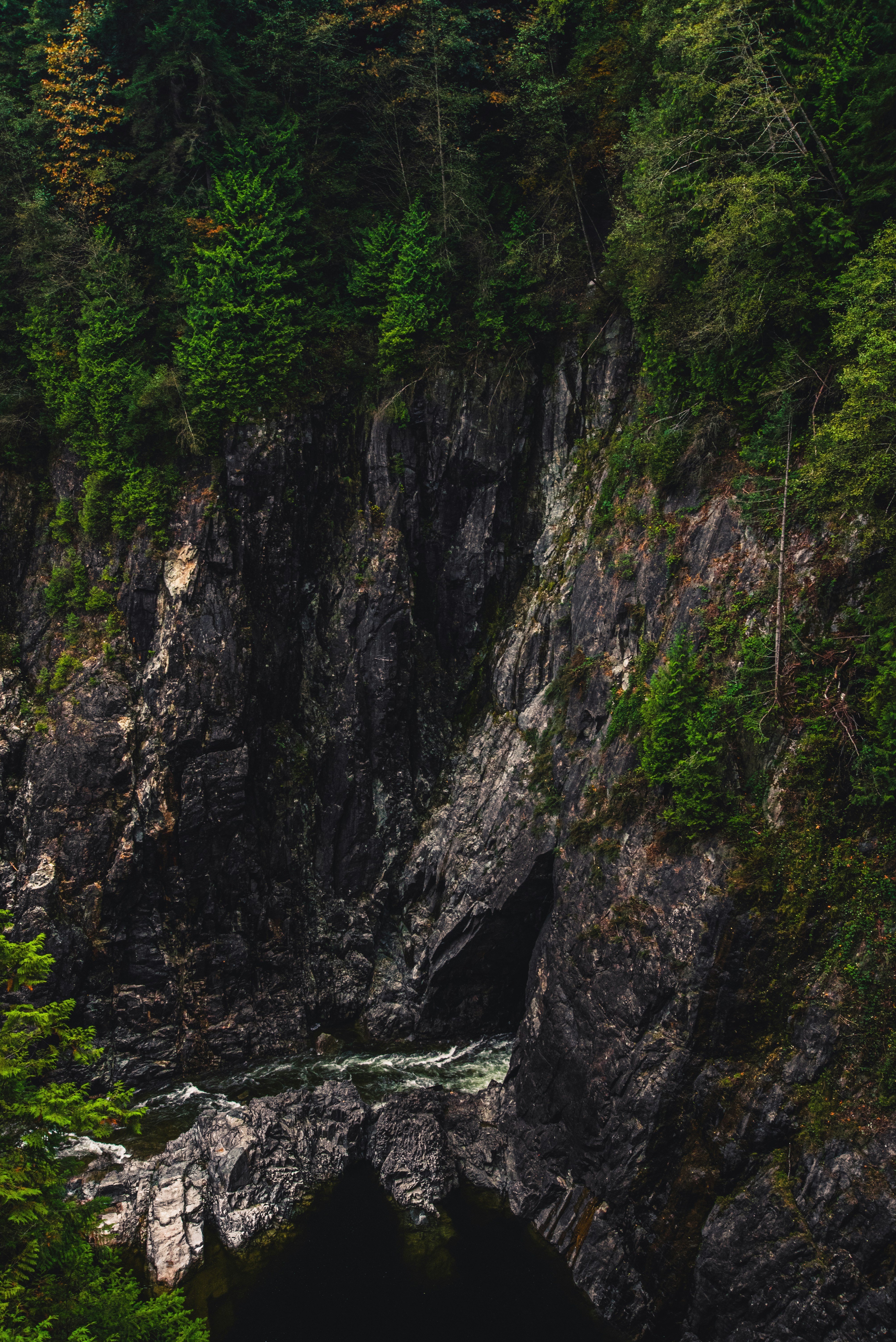 Photo by ryunosuke_kikuno