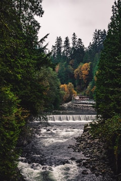 A river flows briskly through a dense forest, flanked by tall evergreens and colorful autumn foliage. A small dam or weir is visible, creating a waterfall effect. In the background, a building can be seen next to a bridge spanning the river.