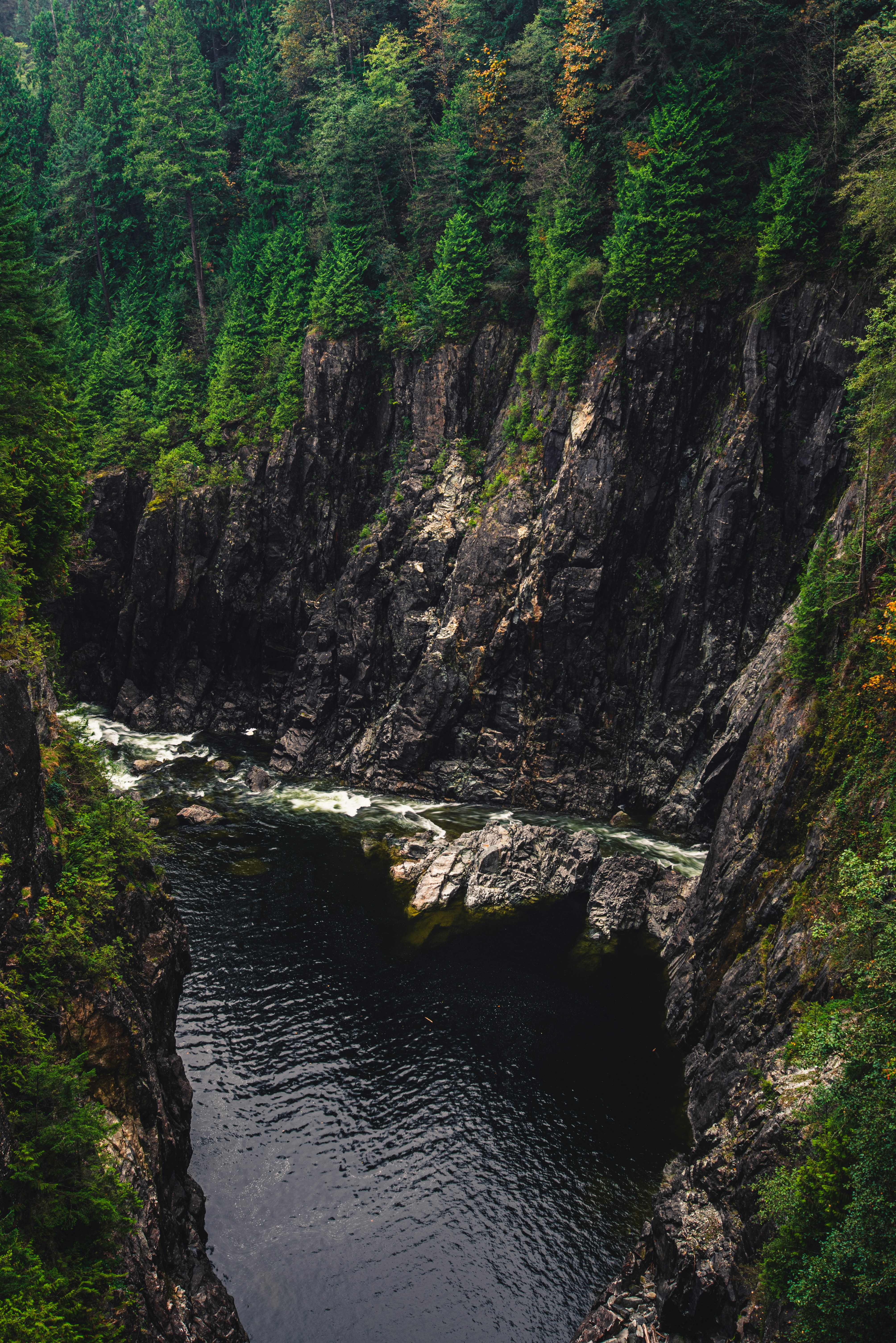 Photo by ryunosuke_kikuno