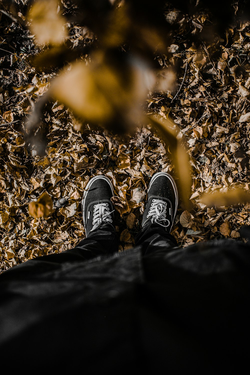 person in black pants and black and white sneakers standing on dried leaves