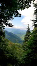 A scenic view of a lush green mountain landscape in Indonesia.