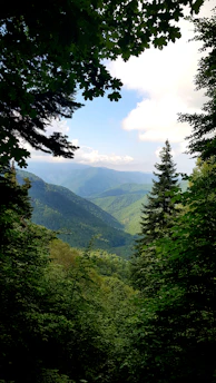 A scenic view of a lush green mountain landscape in Indonesia.