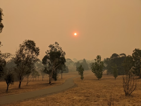 A sun obscured by haze casts a reddish glow over a dry, barren landscape. Sparse trees line a winding path that cuts through the parched grass. The sky is filled with a smoky, yellowish-brown tint, suggesting the presence of smoke or dust in the air.