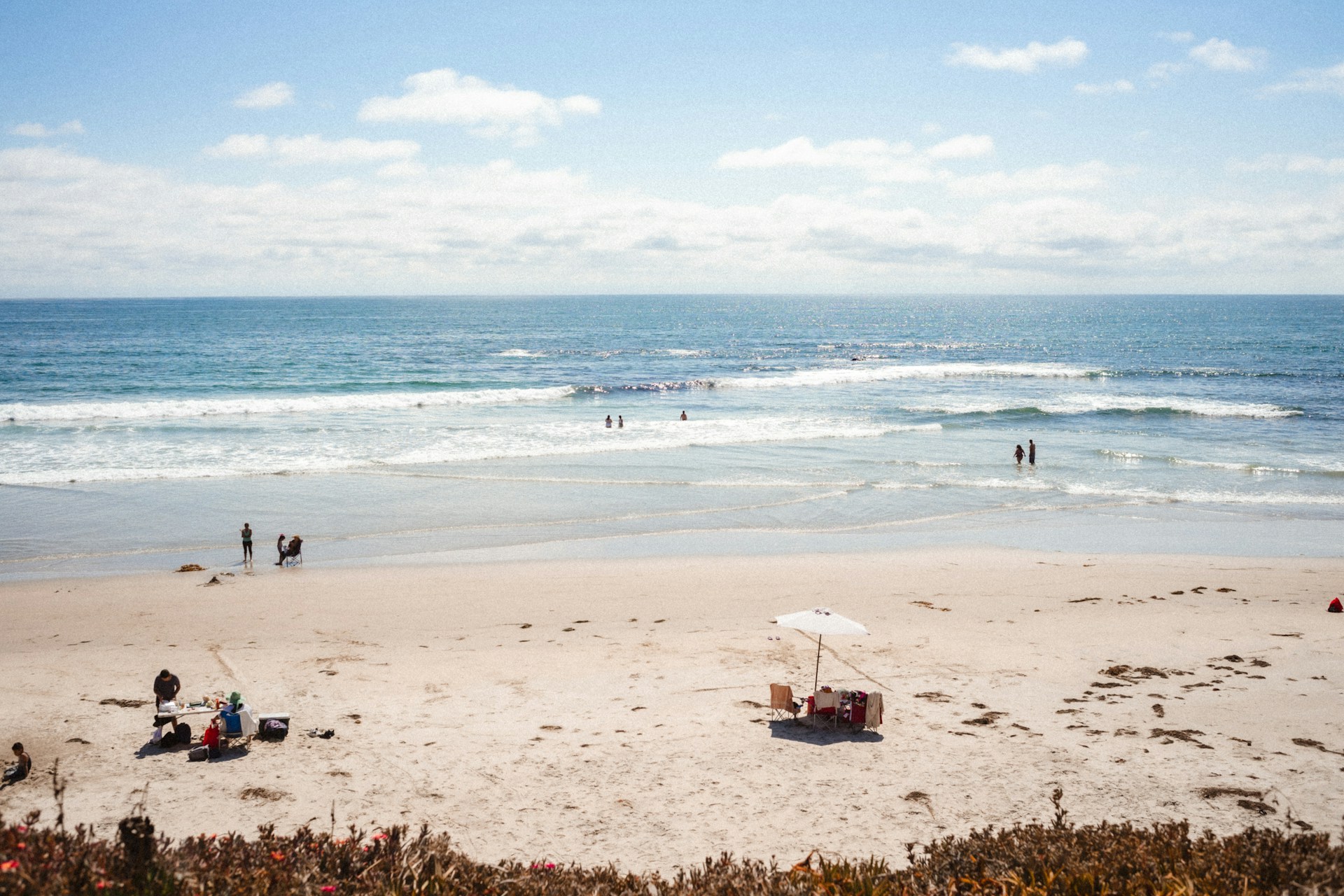 people on beach during daytime