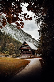 Cozy wooden chalet nestled among pine trees at sunset