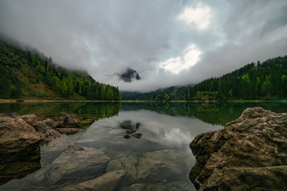 body of water near green trees under white sky during daytime