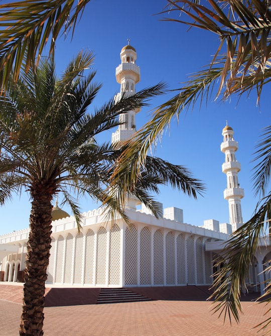 green palm tree near white concrete building during daytime in Al Ain - Abu Dhabi - United Arab Emirates United Arab Emirates