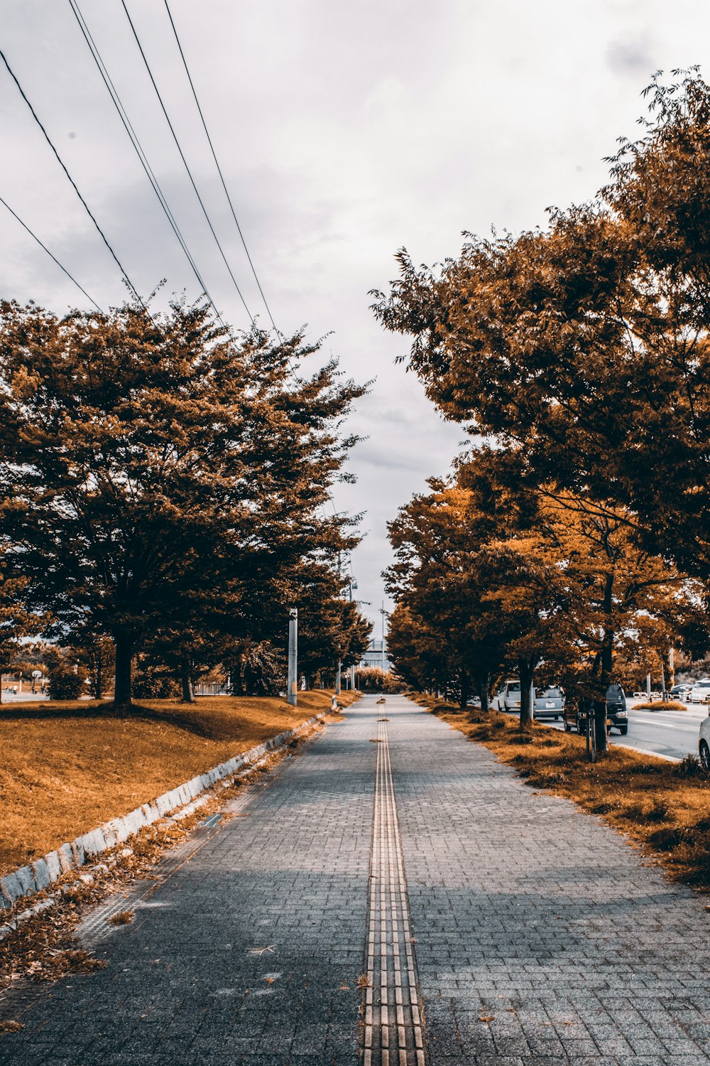 gray concrete road between green trees under white clouds during daytime