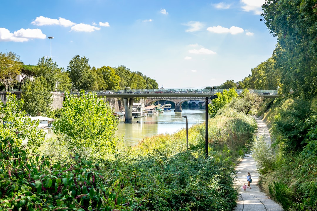 green plants near river under blue sky during daytime