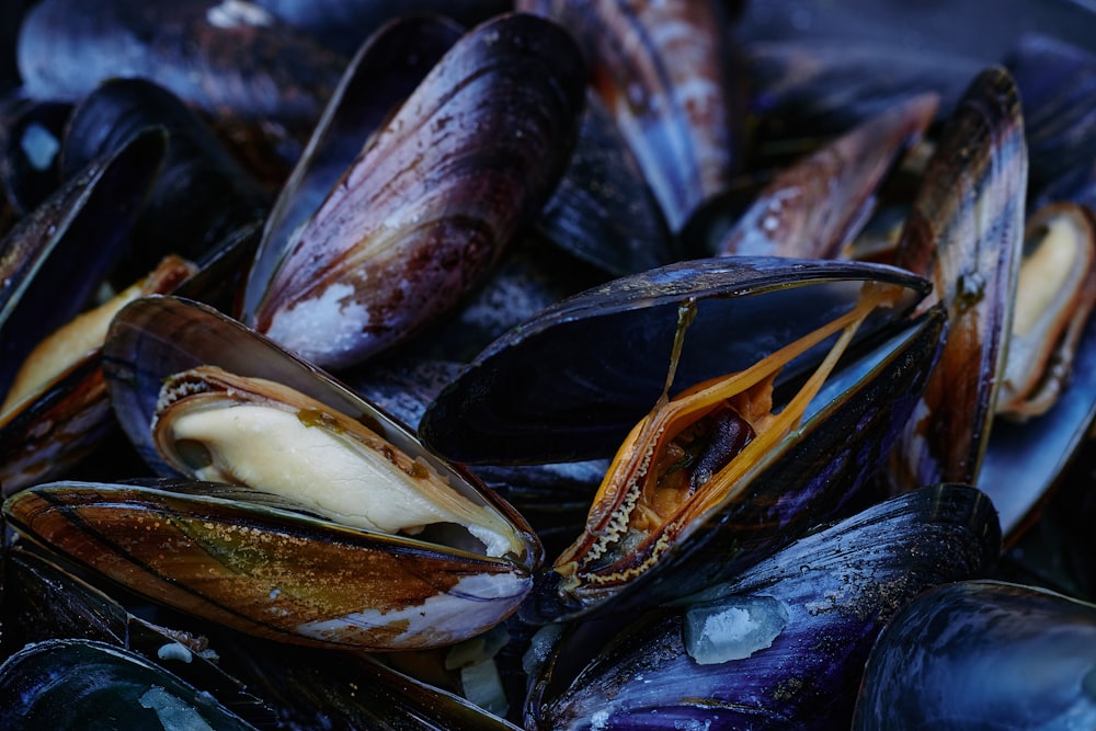 pedras pretas e marrons na superfície preta