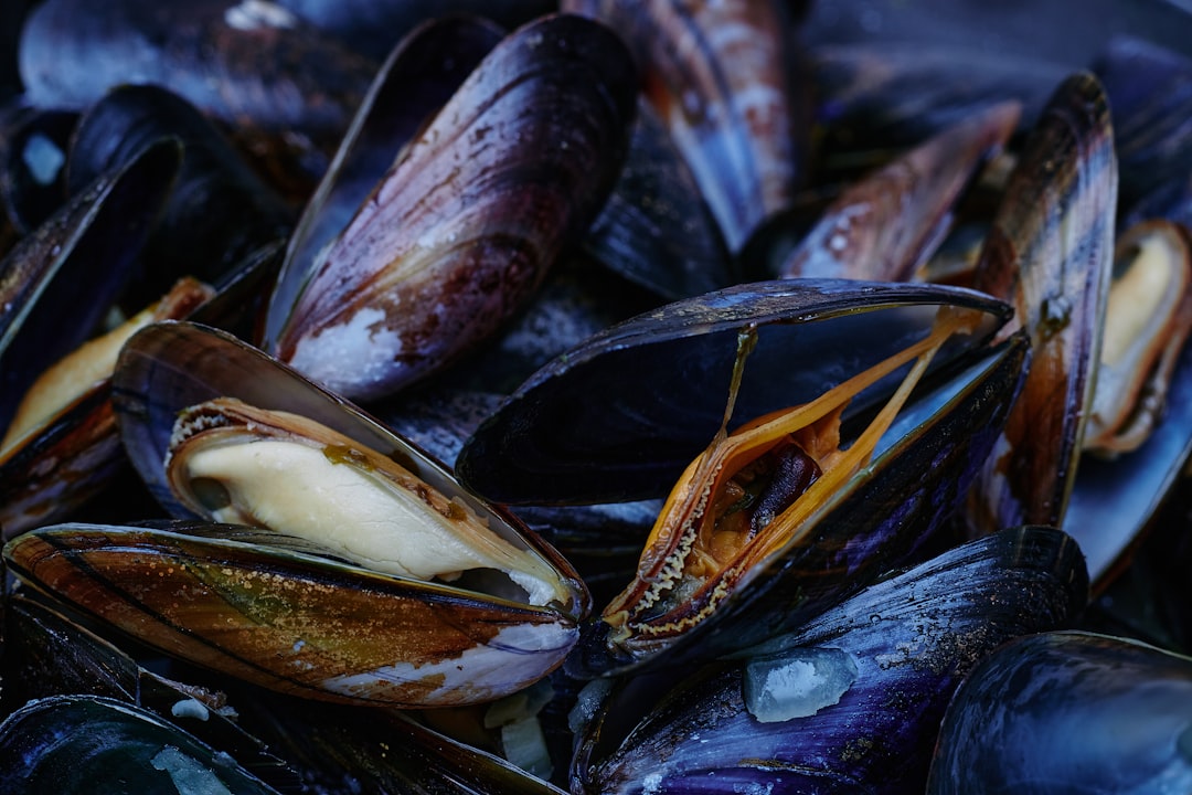 black and brown stones on black surface, Mussels