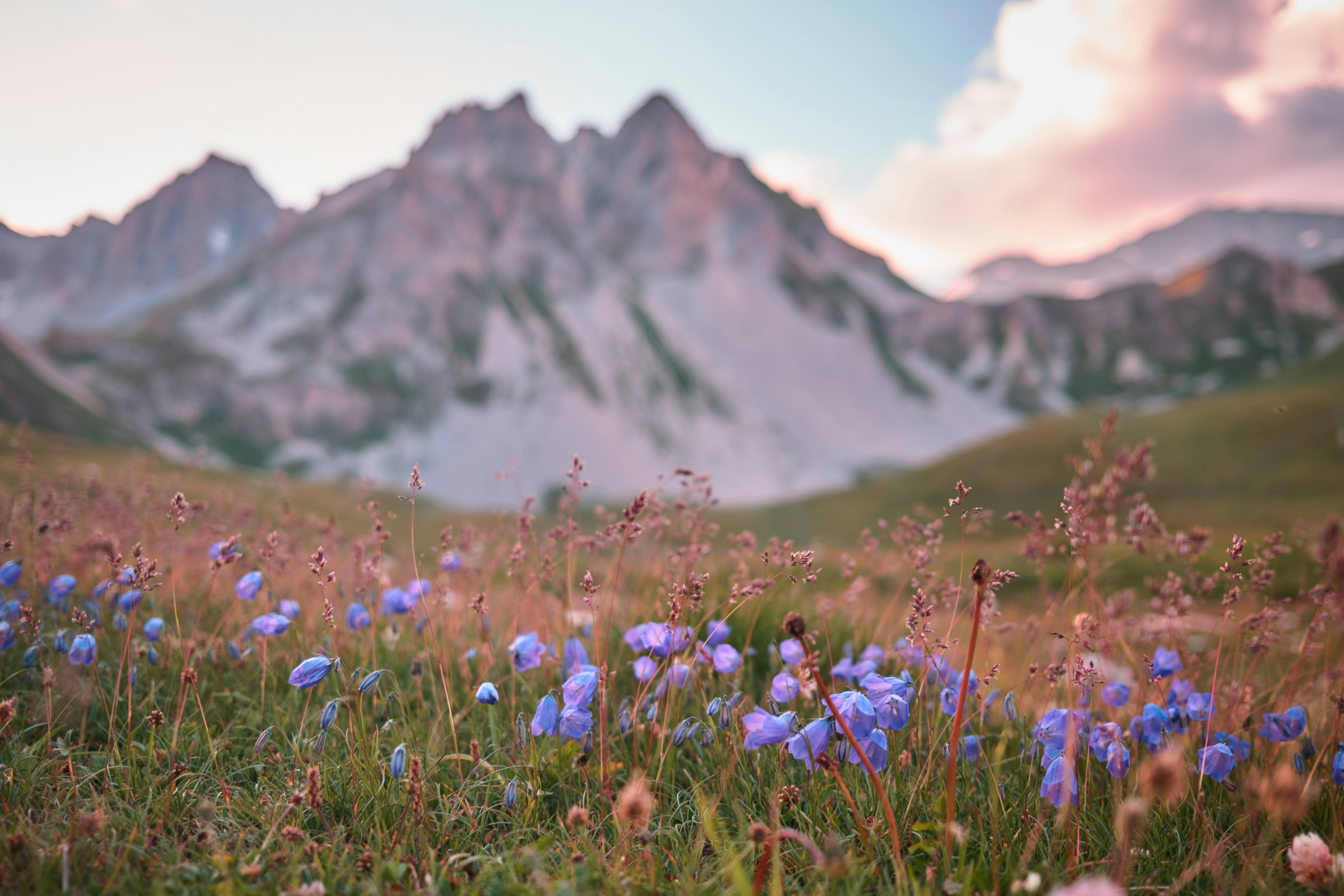 30 Short Beauty of Nature Quotes to Inspire Your Soul