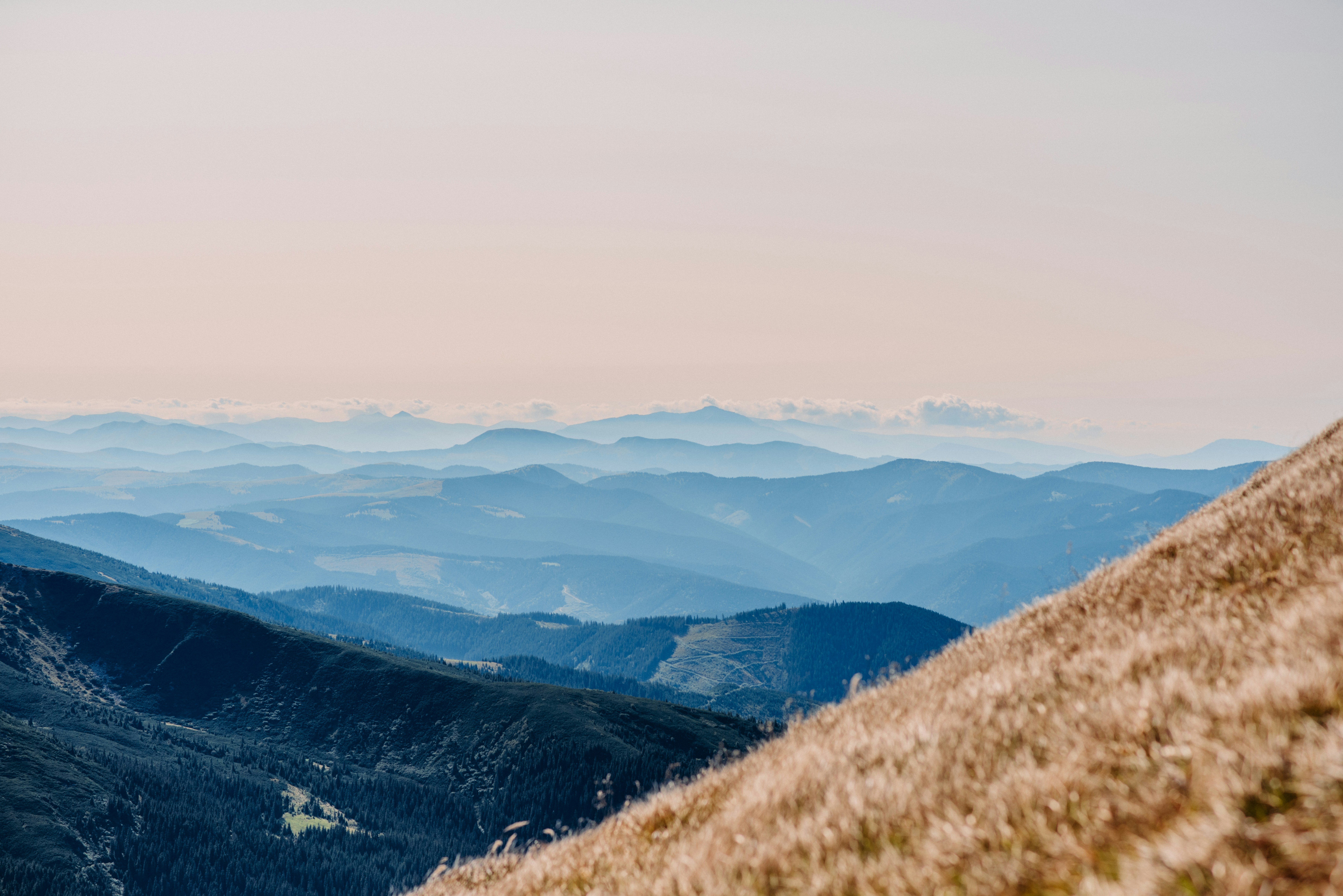 Photo by eugenivy_now