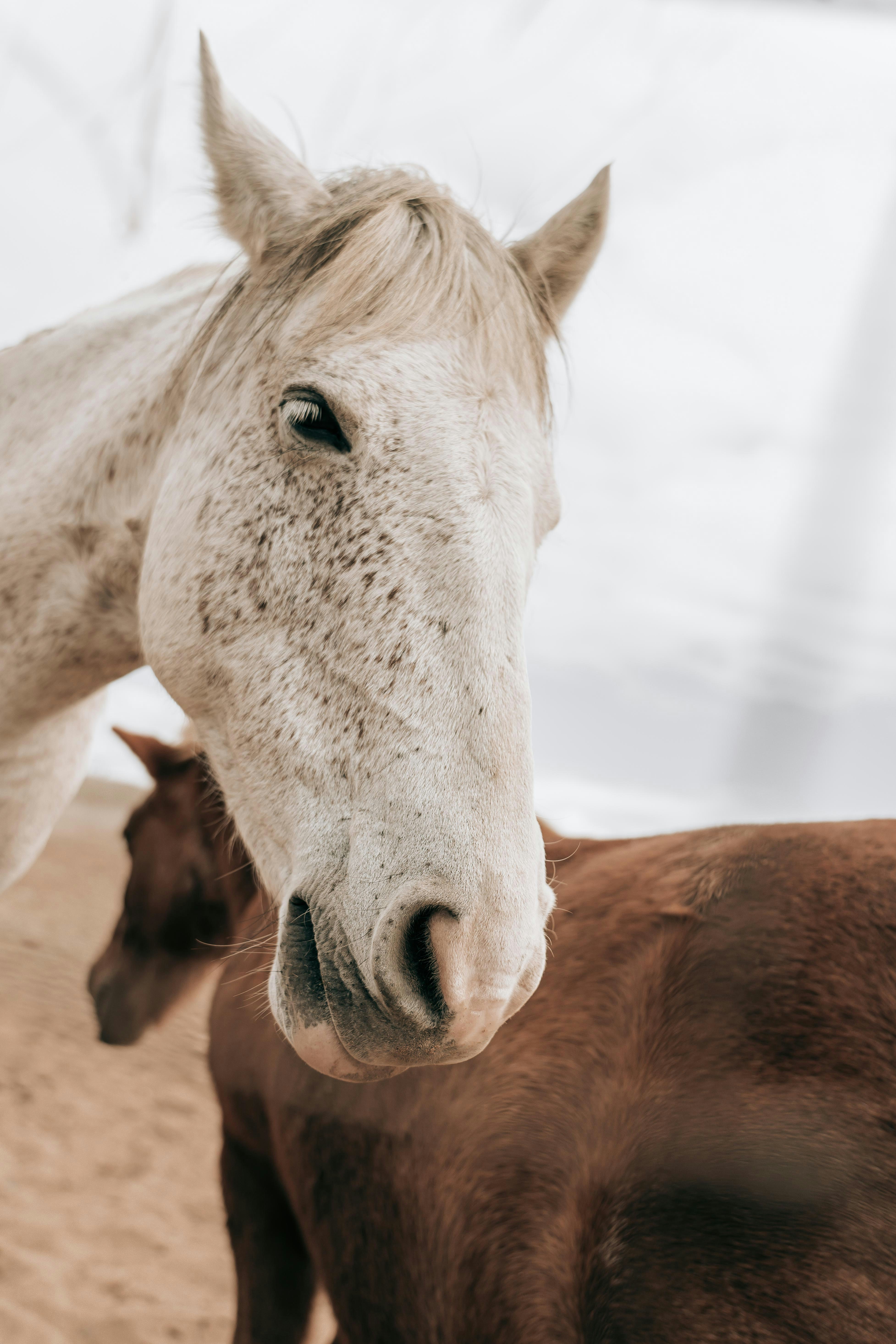 Photo by miguelmendes