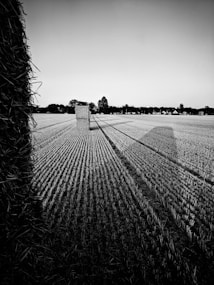 grayscale photo of a farm field