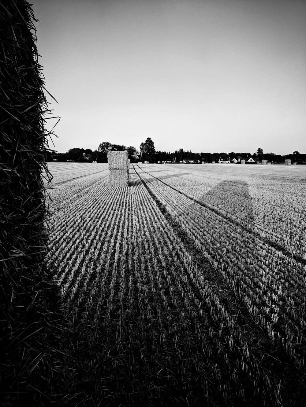 grayscale photo of a farm field