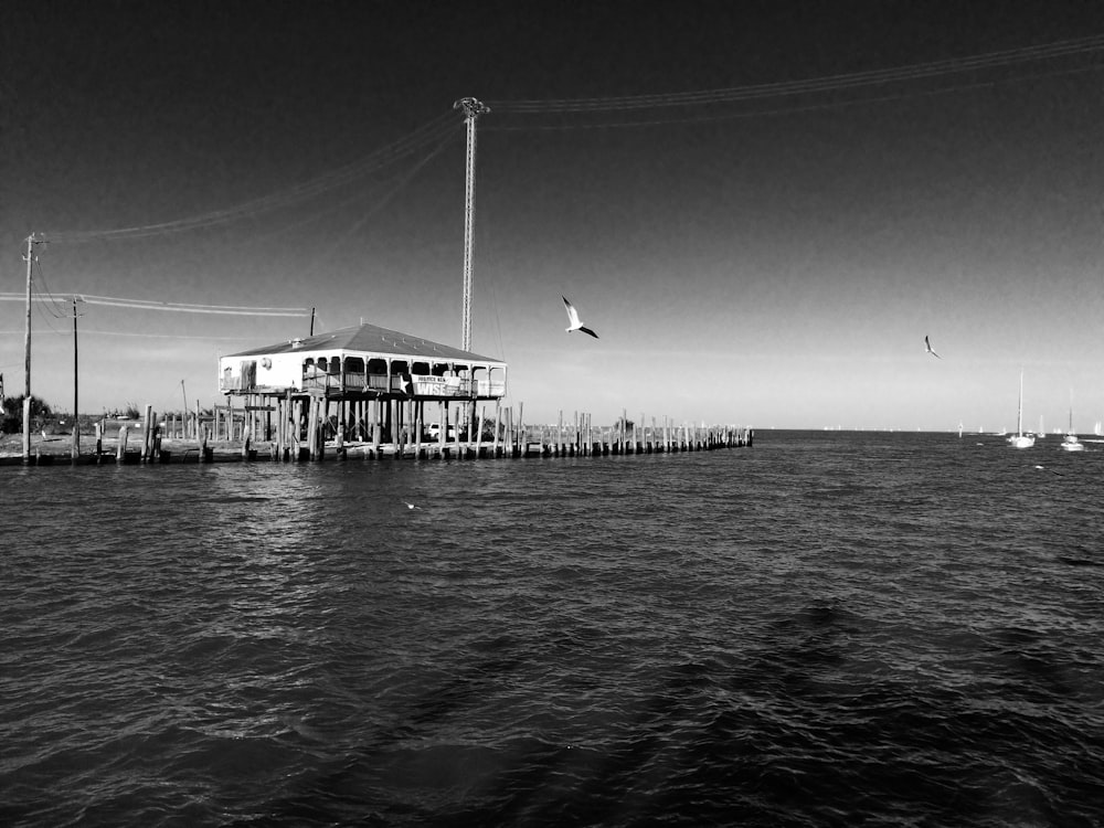 grayscale photo of sea dock