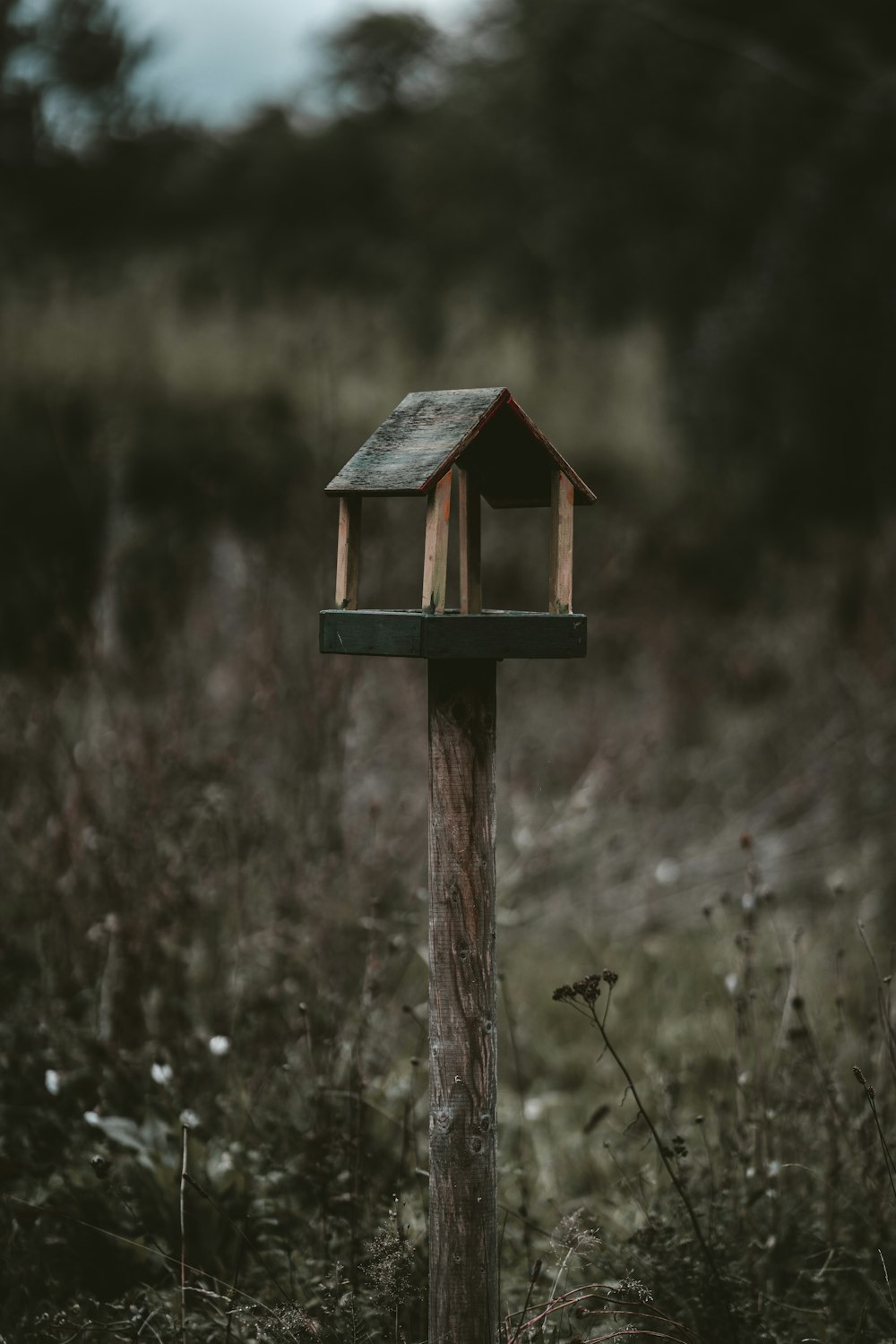 brown wooden bird house on brown tree branch